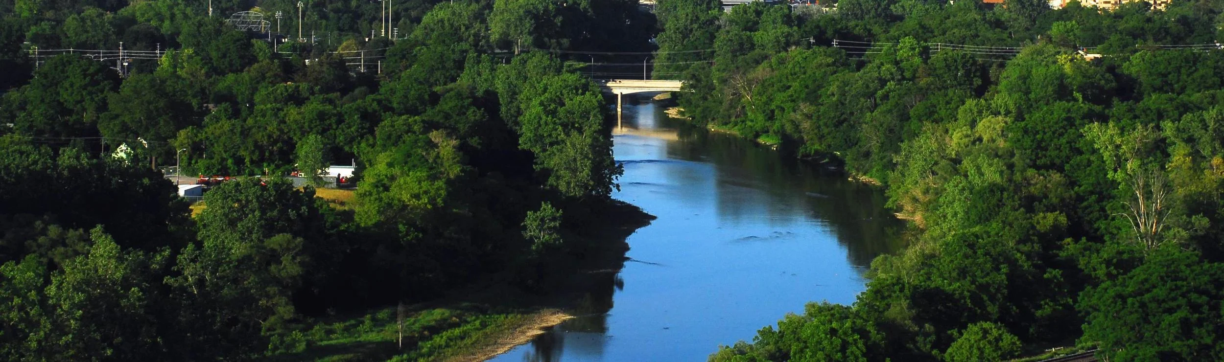 River and Trees.jpg