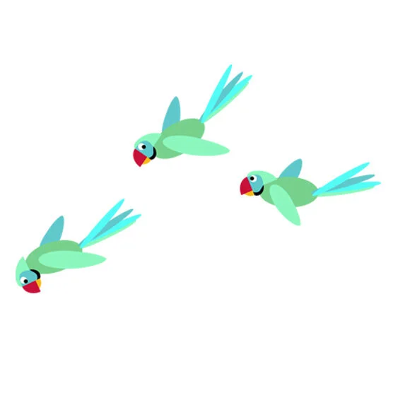 3 parrots creative flock.jpg
