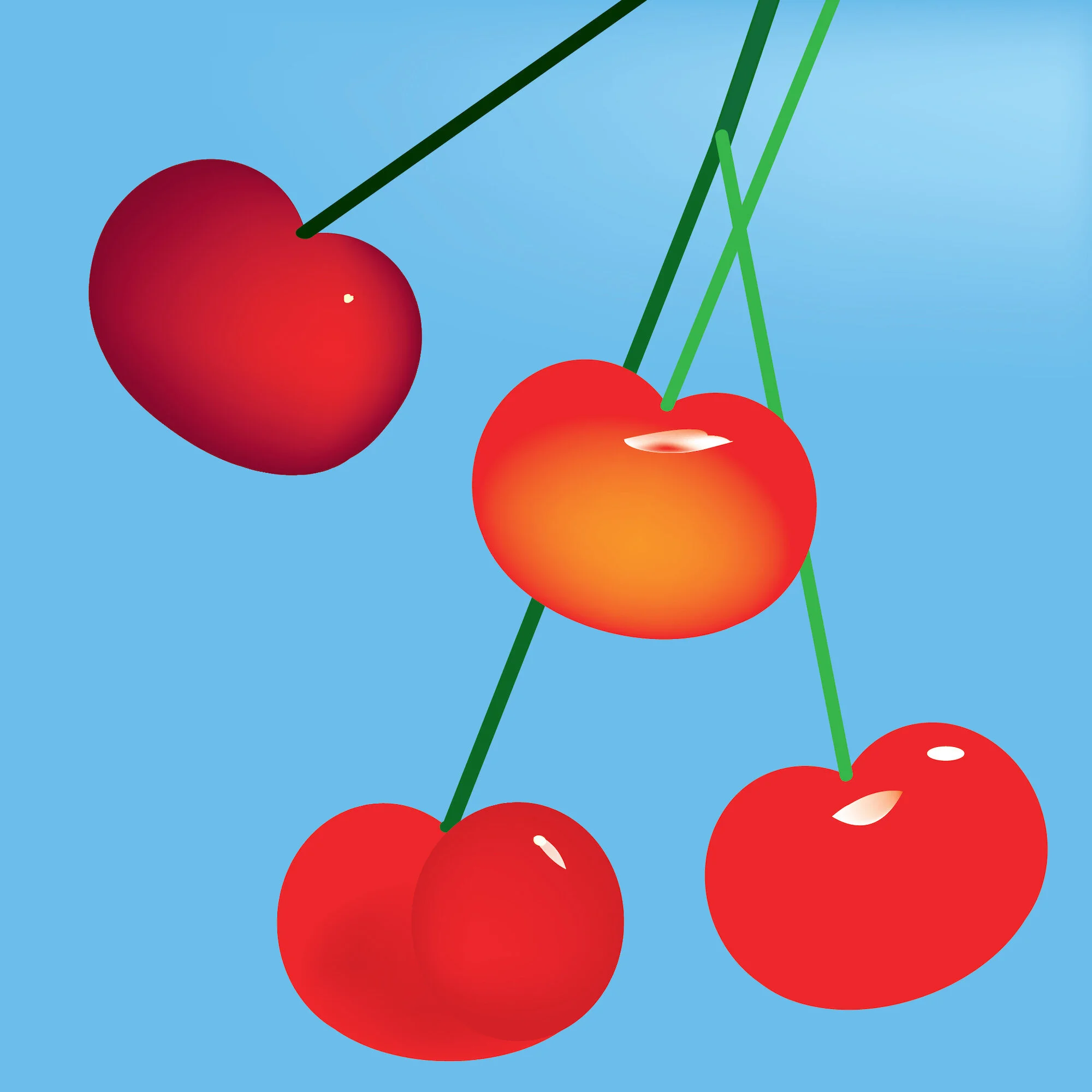 cherries 1-01.jpg