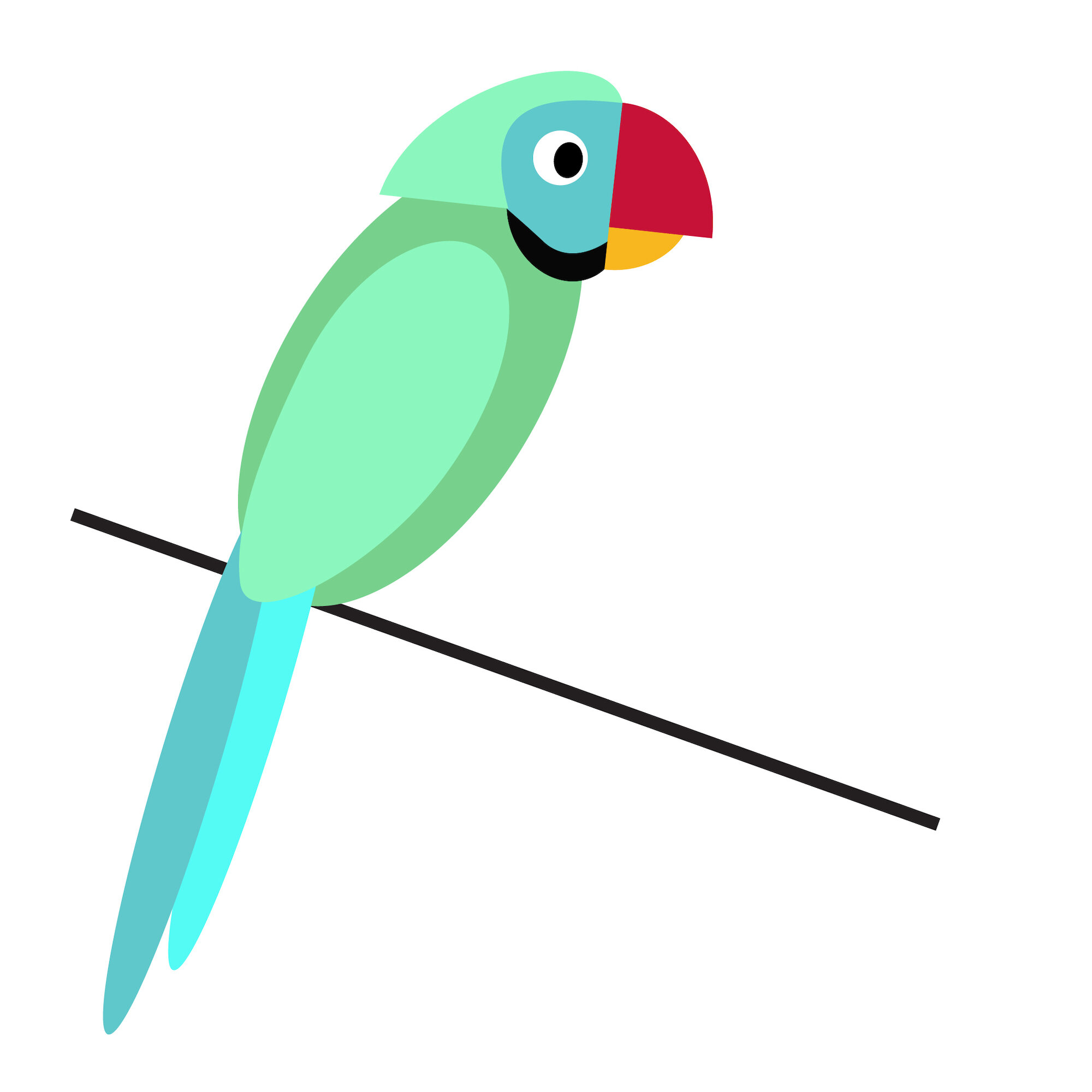 parrot-01.jpg