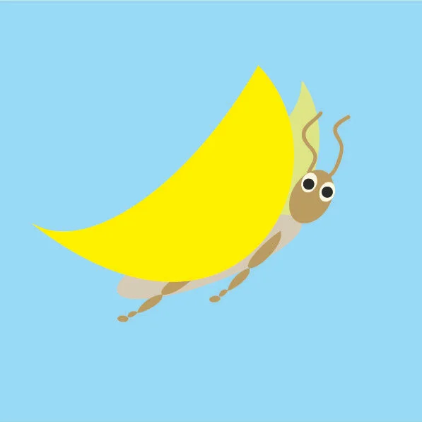 1yellow butterfly.jpg