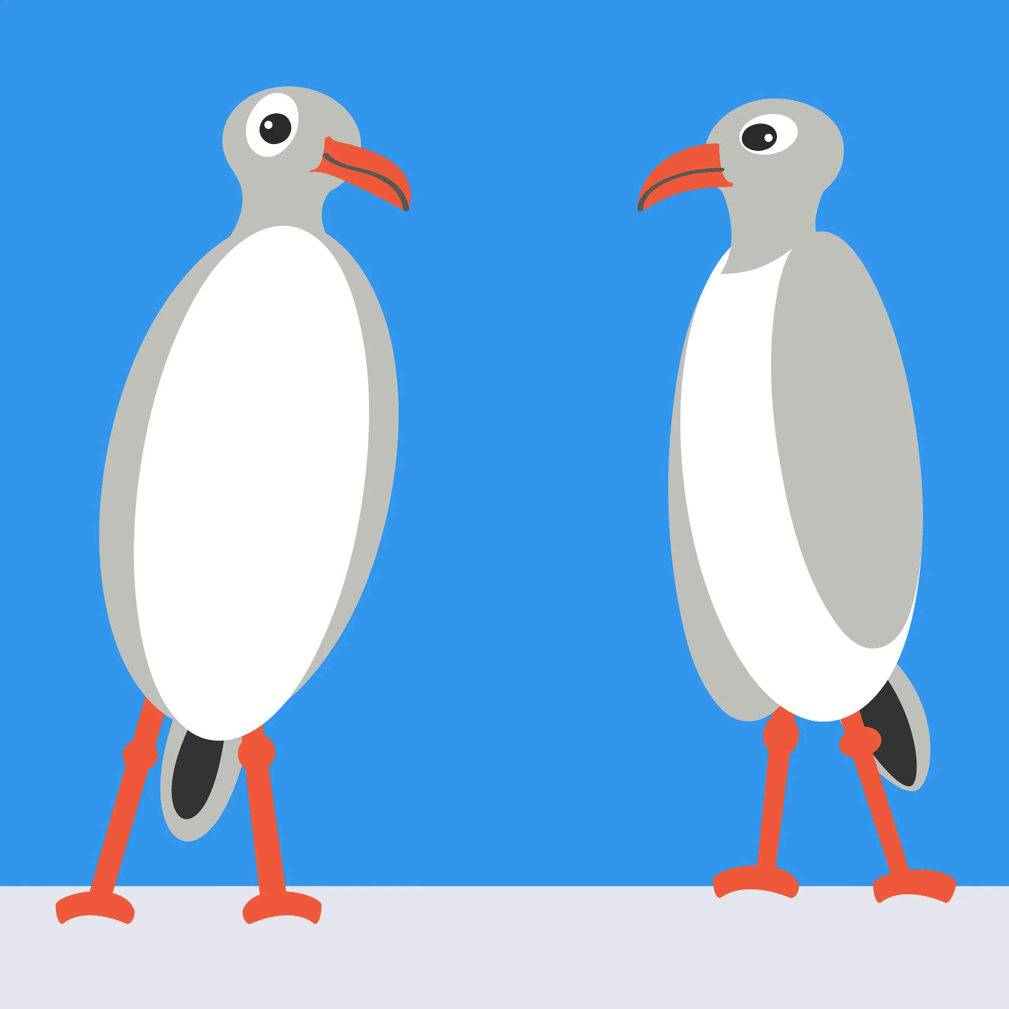 seagulls.jpg