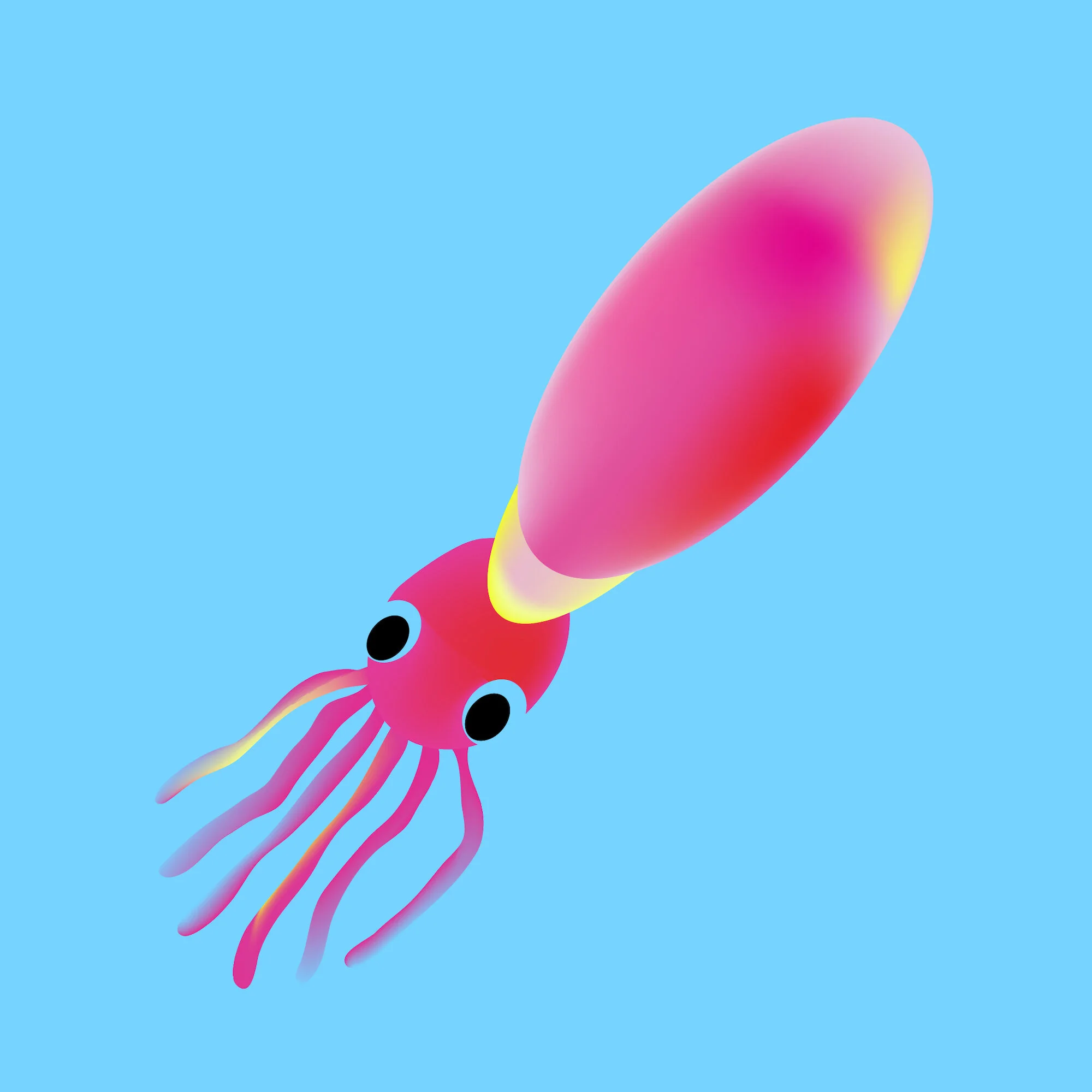 pink cuttlefish-01.jpg