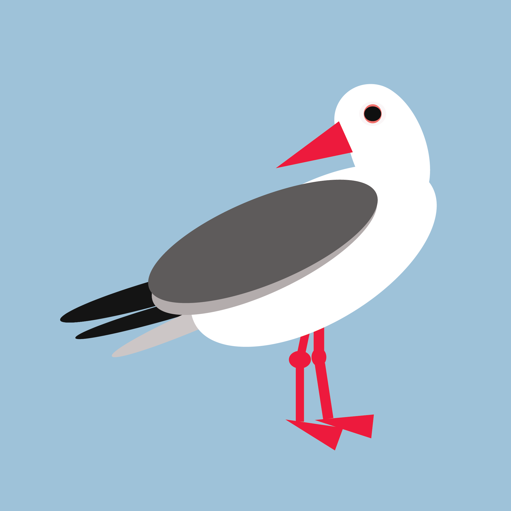 seagull pic.png