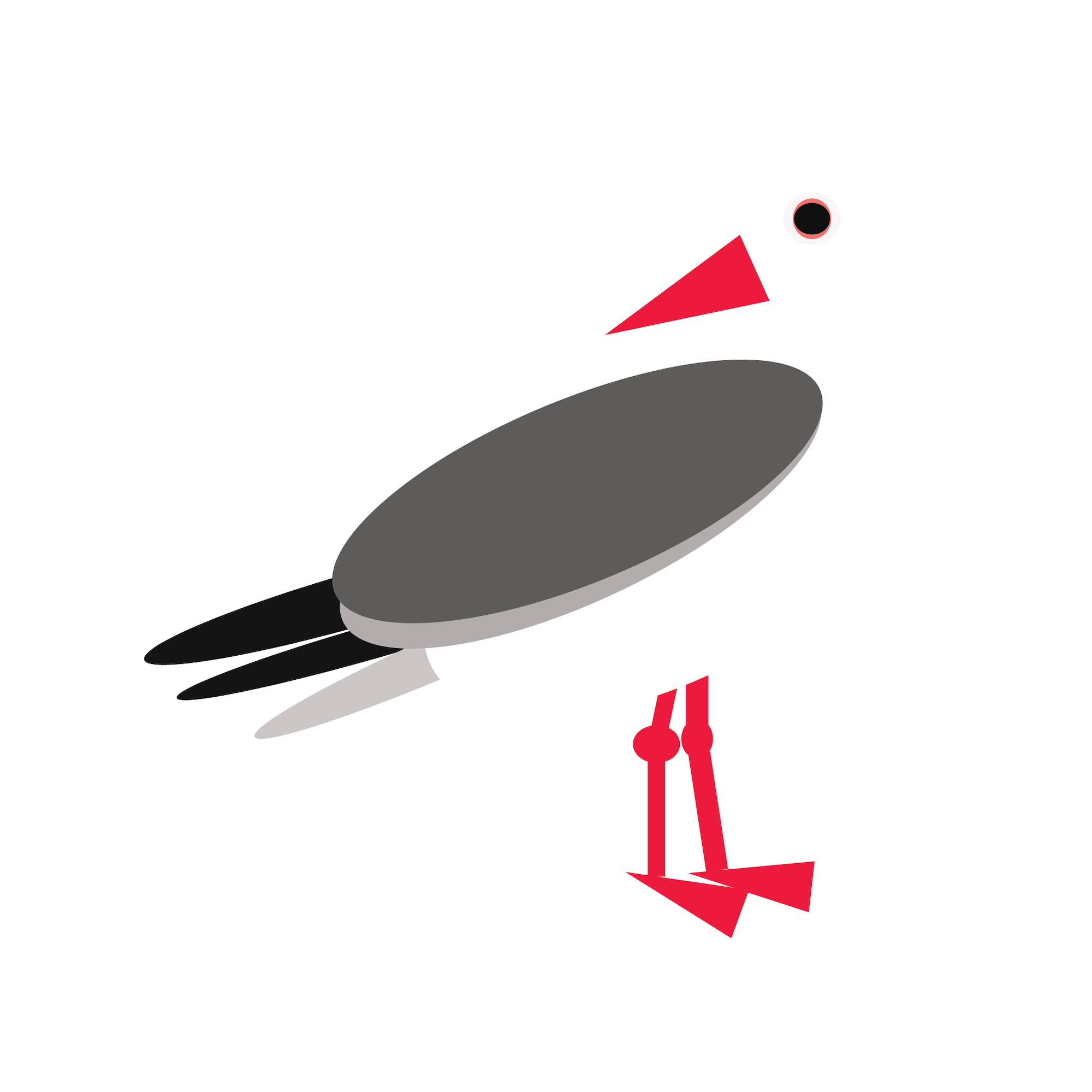 seagull white pic-01.png