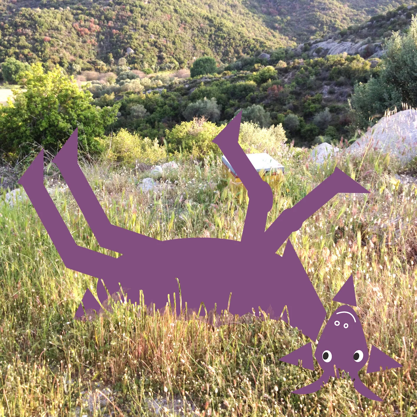 valanti enjoying the grass copy.jpg