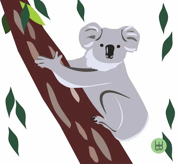 koala white leaves small.jpeg
