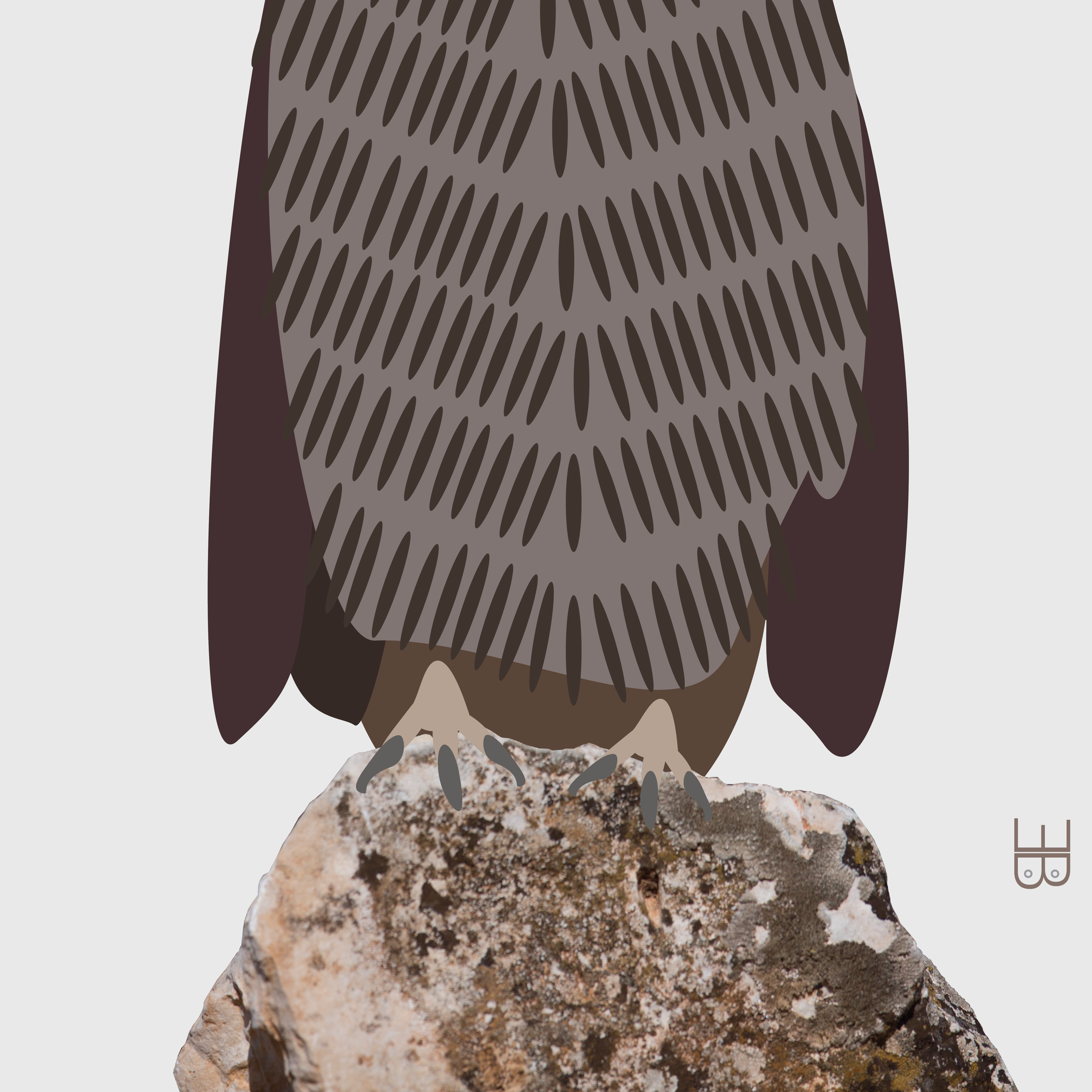 feet of the Mighty Owl Chief.png