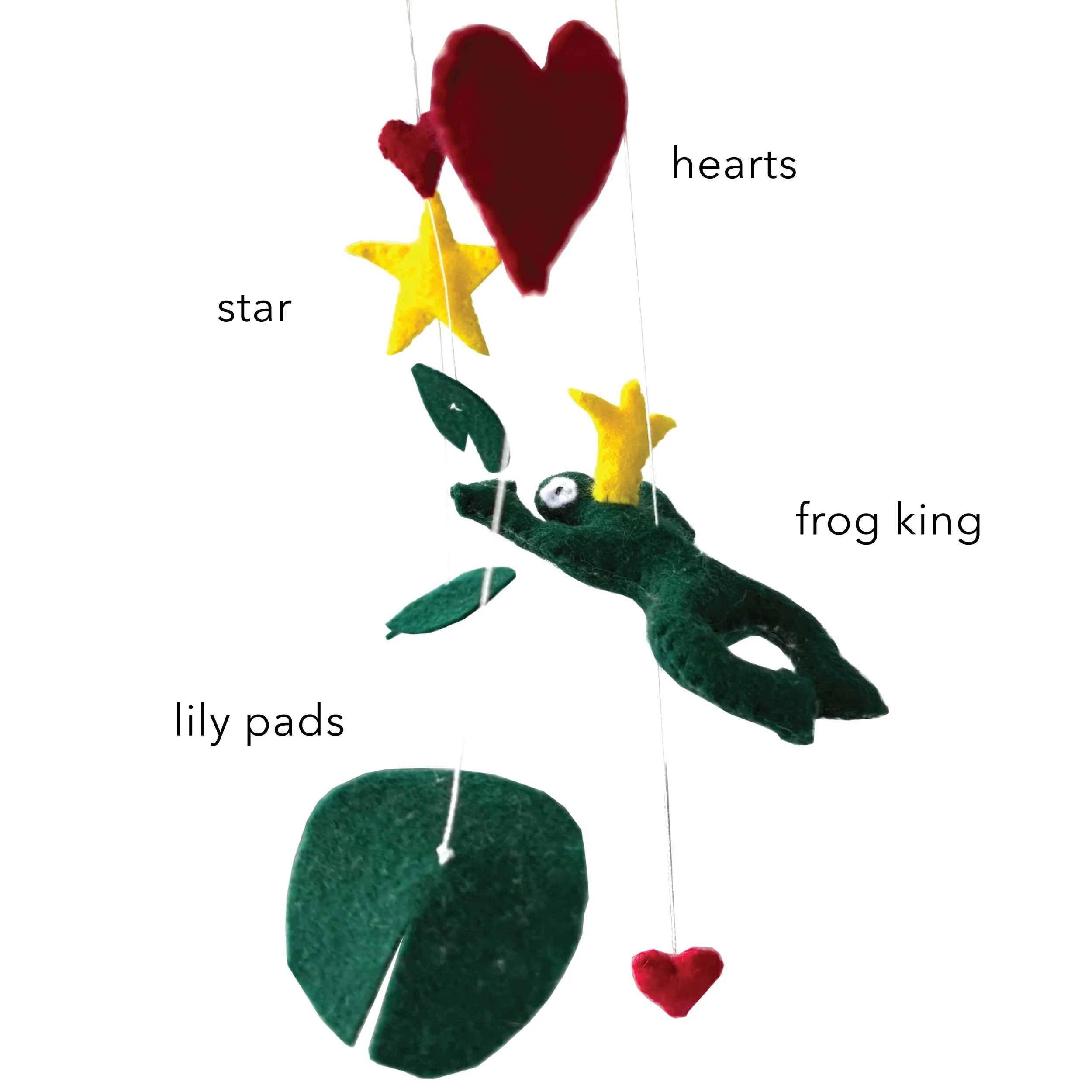frog elements.jpg