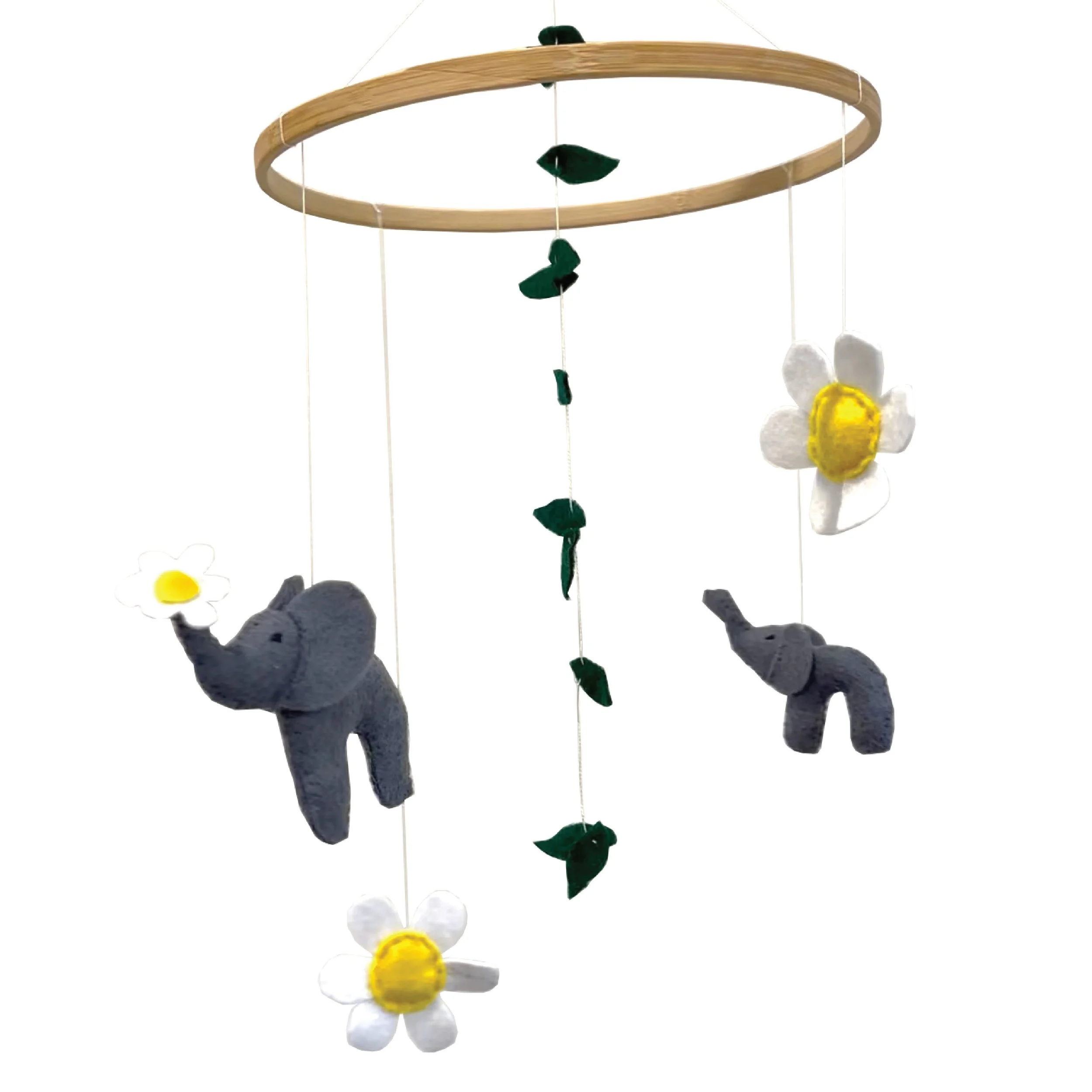 elephant daisies.jpg