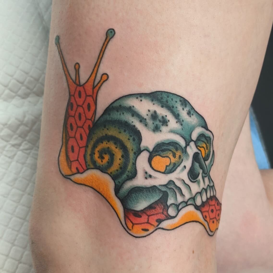 BrainZout on Twitter Tag a friend whod want this Snail Skull      Credit jackofthedust  skull skullgirls skulls tattoo  SkullsAndRoses skulladdict skullcollection gothic SKULLSHIT  skullartist skullobsession skulladdiction 