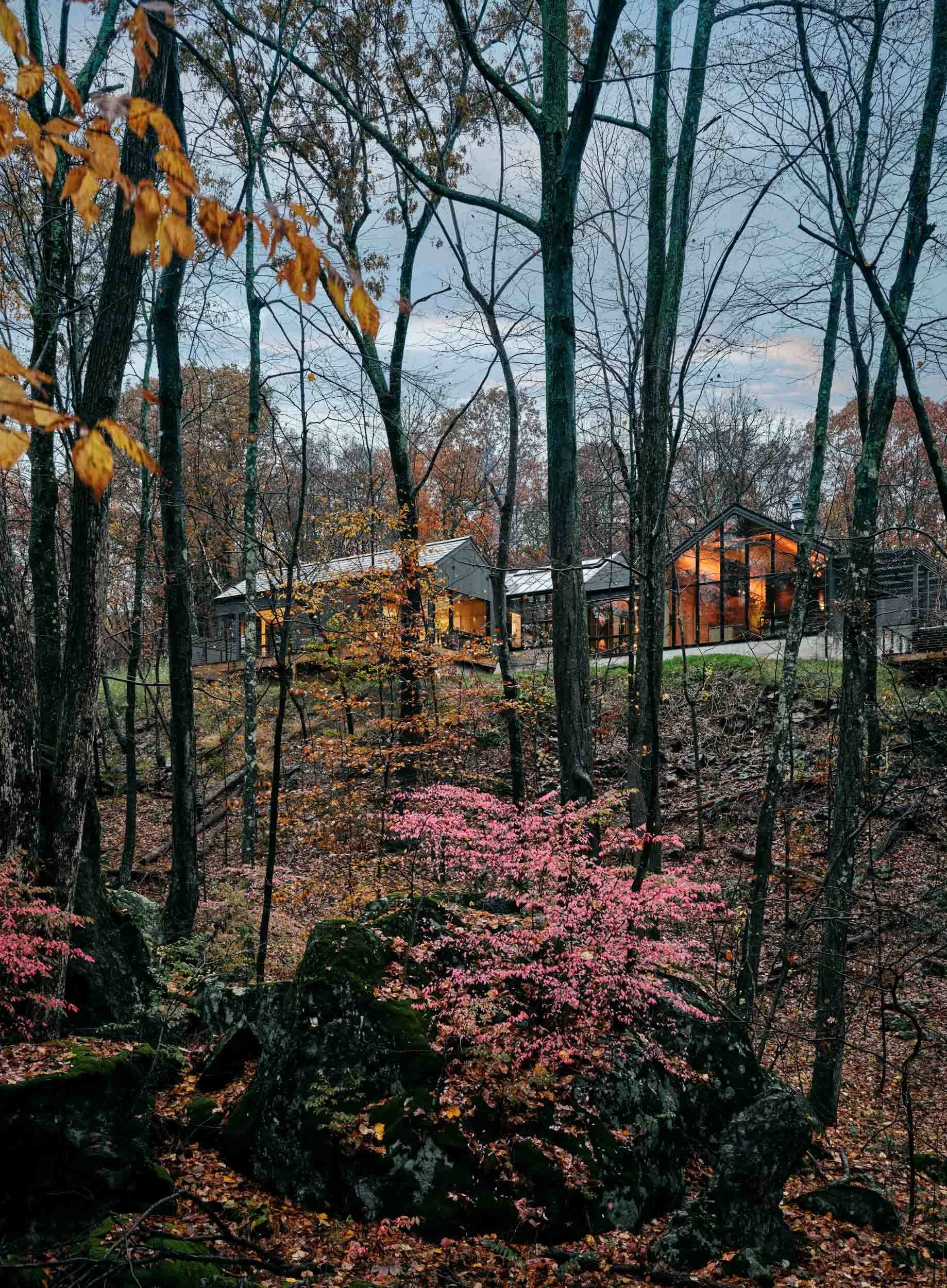 Pawling Residence, Nancy Mah, Photography by Read McKendree. 