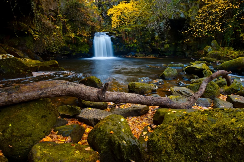 Thomason Foss Waterfall, Beck Hole by Colin Carter