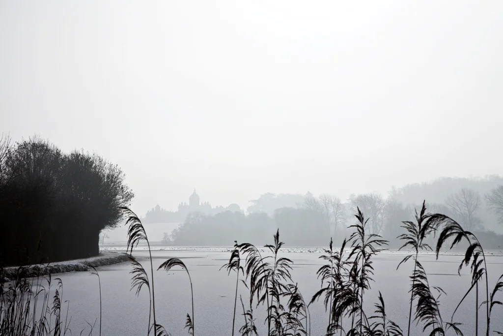Castle Howard by Tracey Phillips