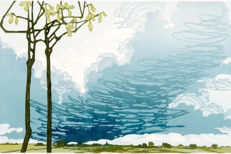 big_sky,_small_trees.jpg