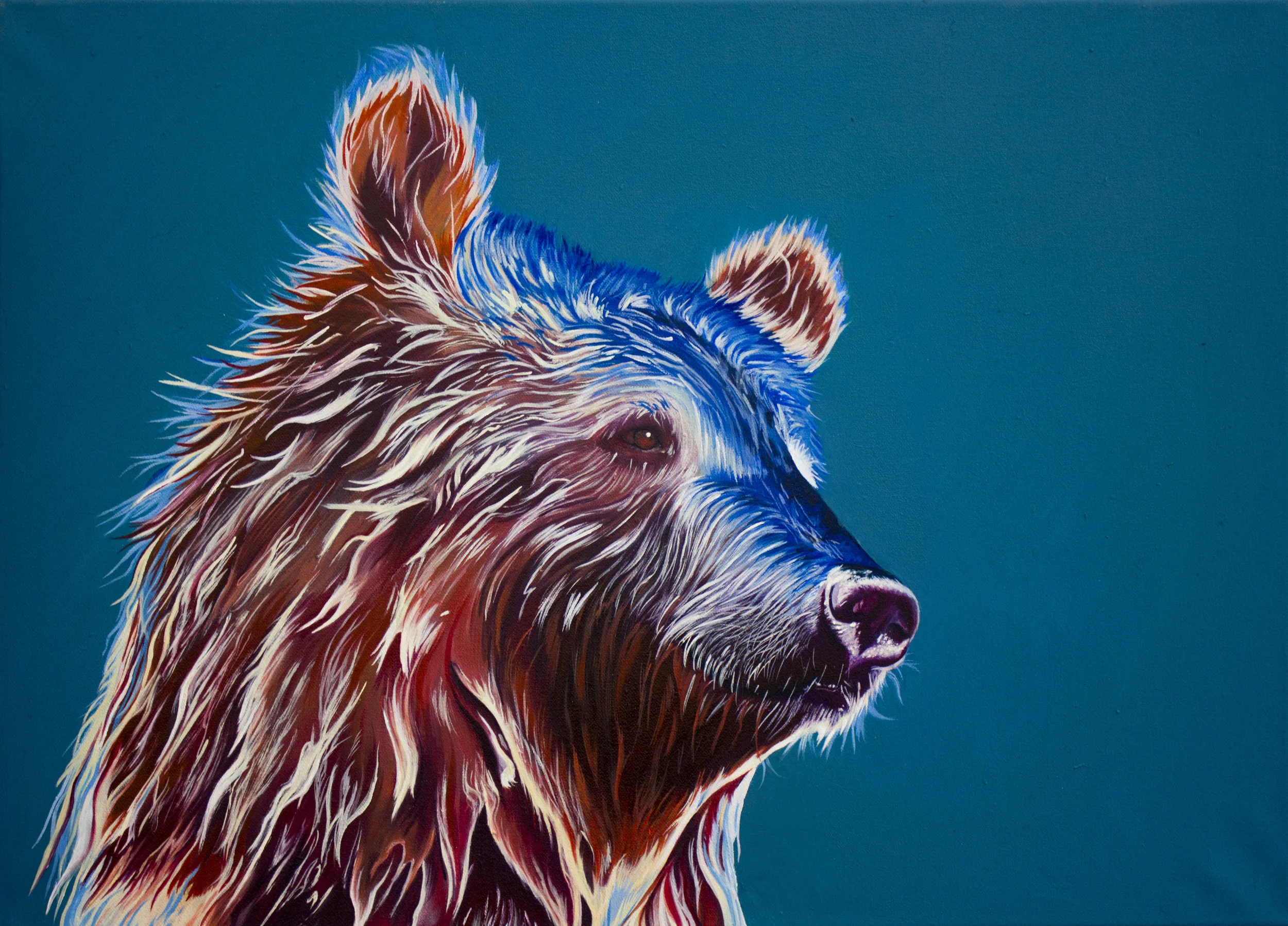 KT04 - Brown Bear, oil on canvas, 69.5cm by 50cm, 2017.jpg