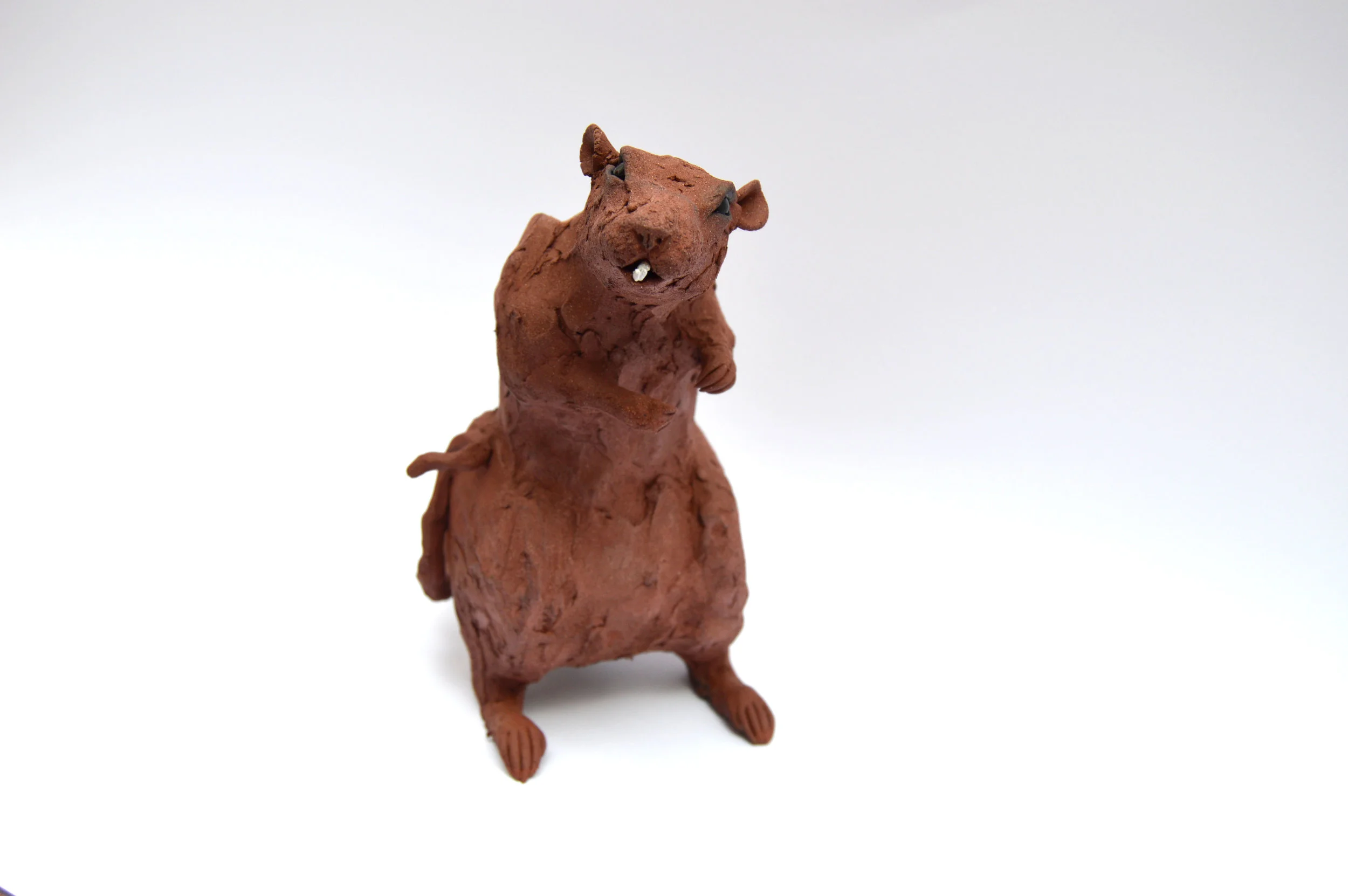 Lab Ratty #12 (LR12) (2).jpg