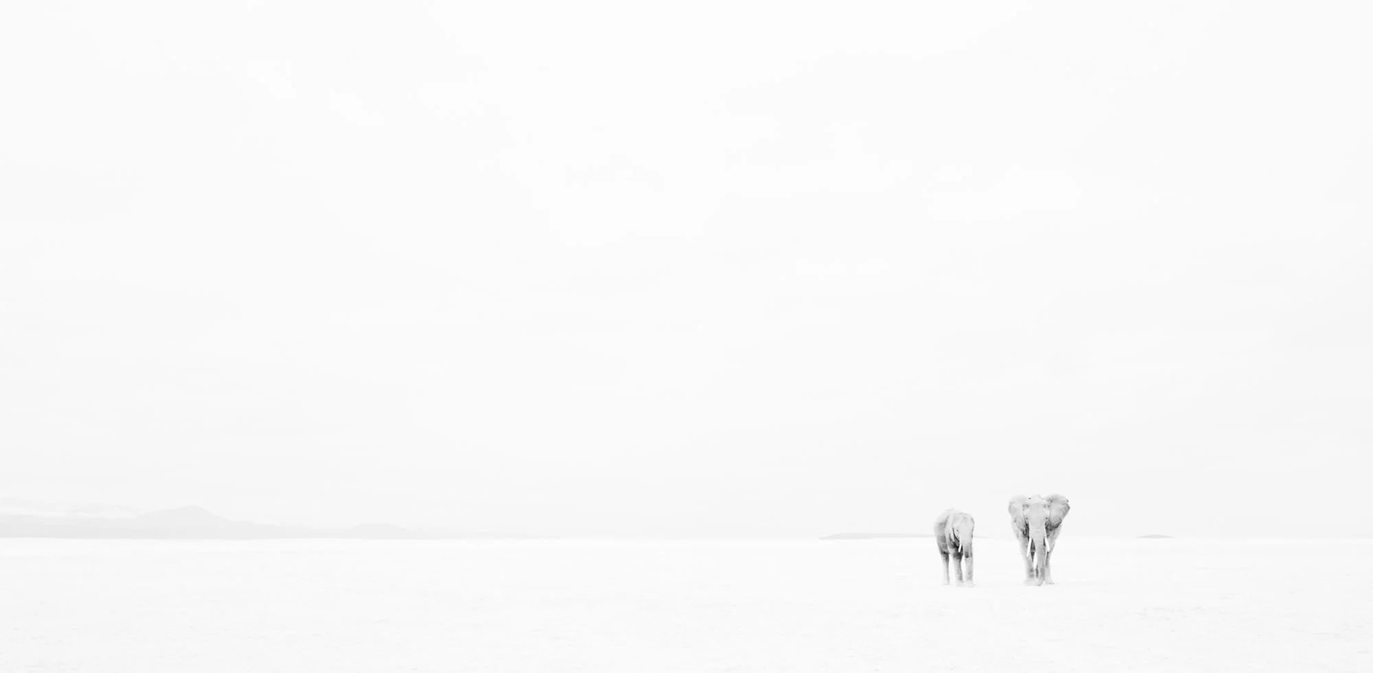 Anup Shah