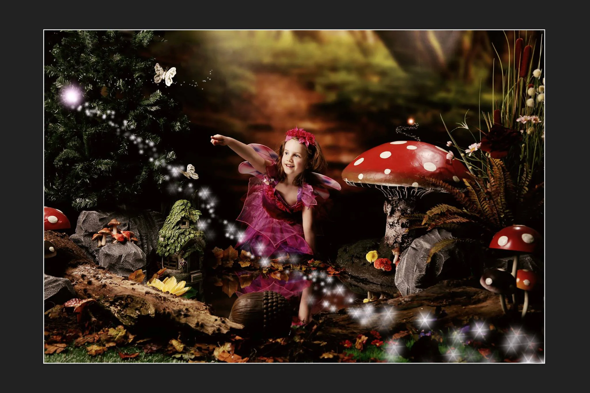 Fairy Set.jpg