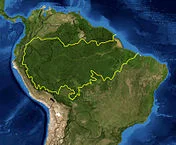 Amazon Basin delineated by WWF. Satellite image NASA.