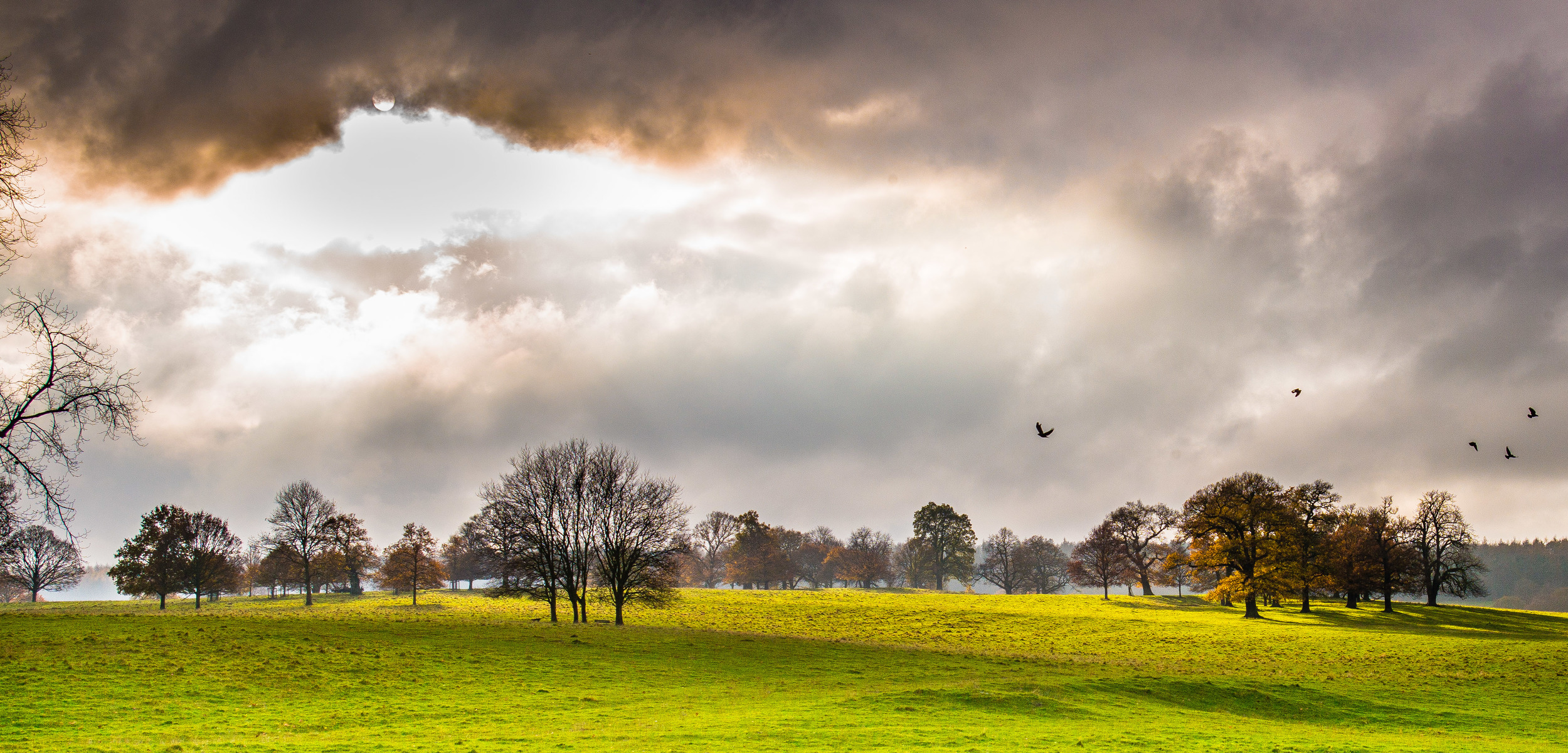 Chatsworth Gardens, Derbyshire