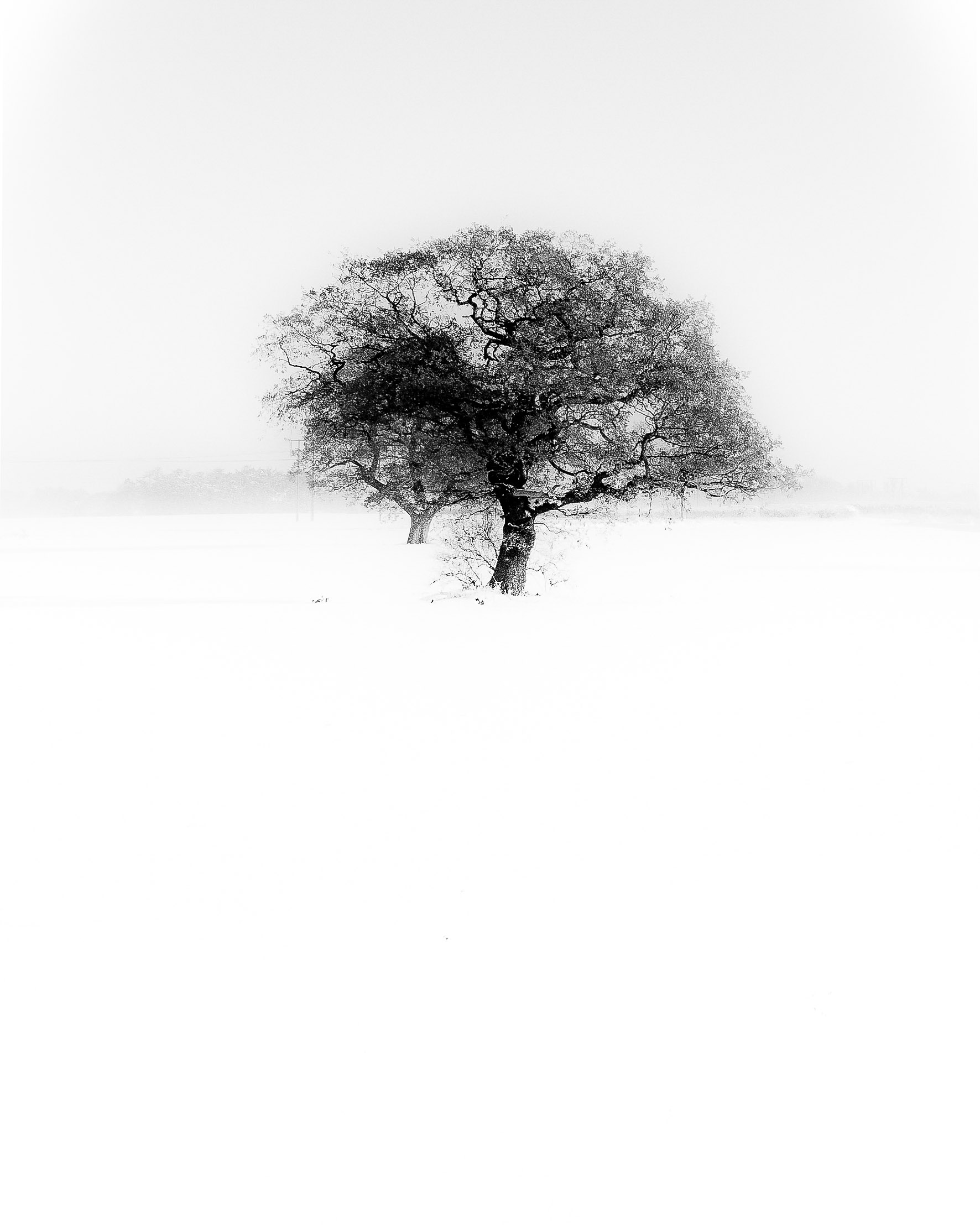 White out in Barnby Dun