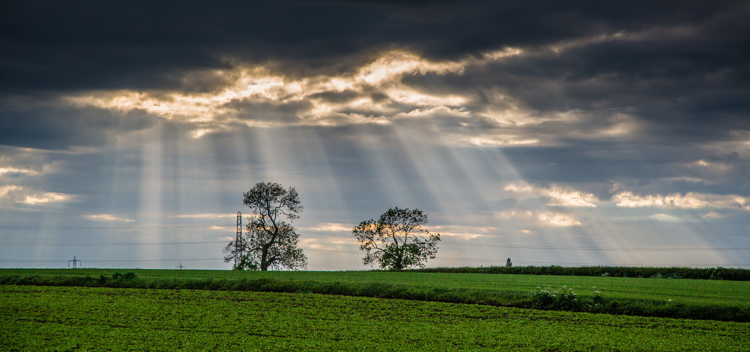 Crepuscular sun rays