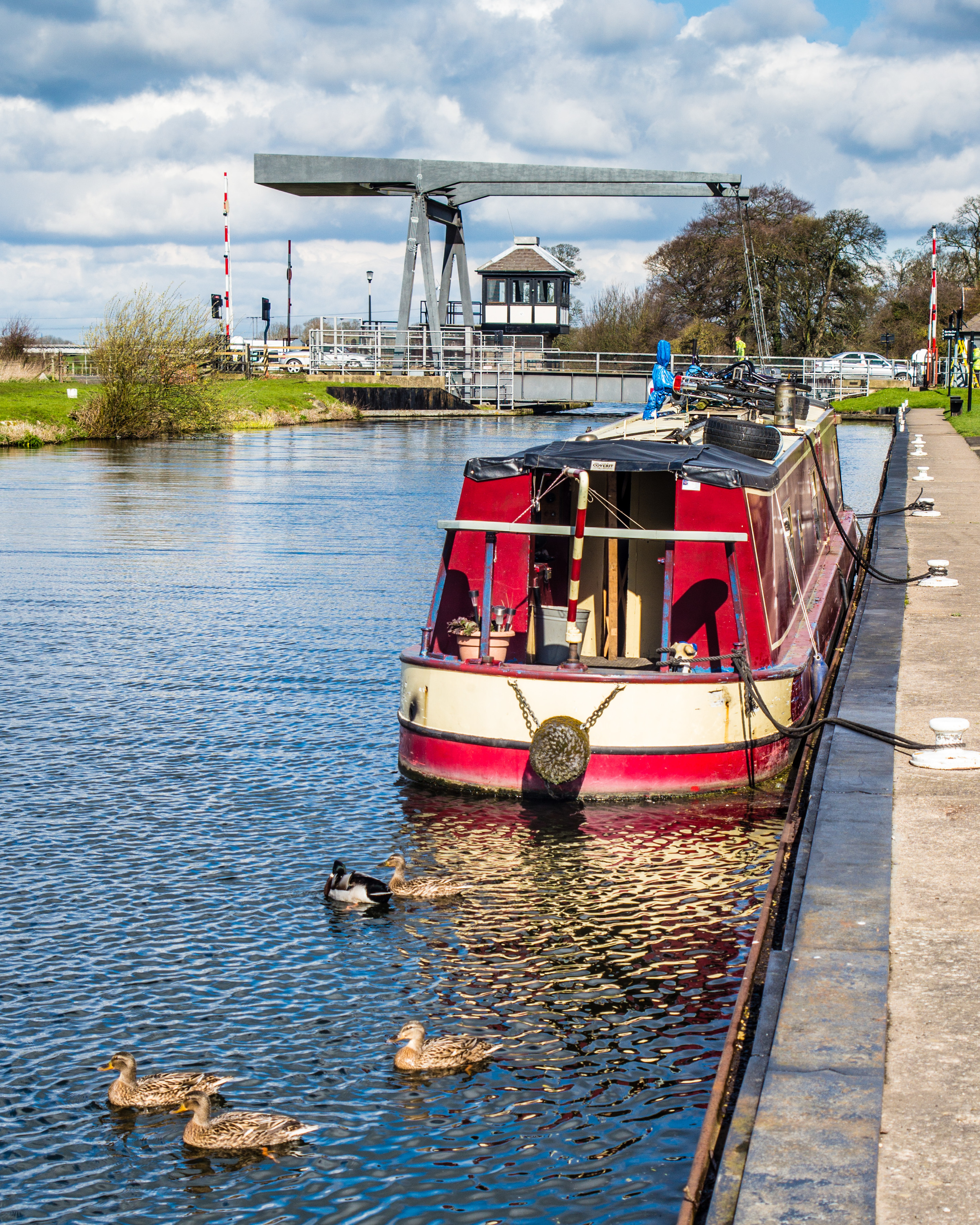 Ducks on the canal