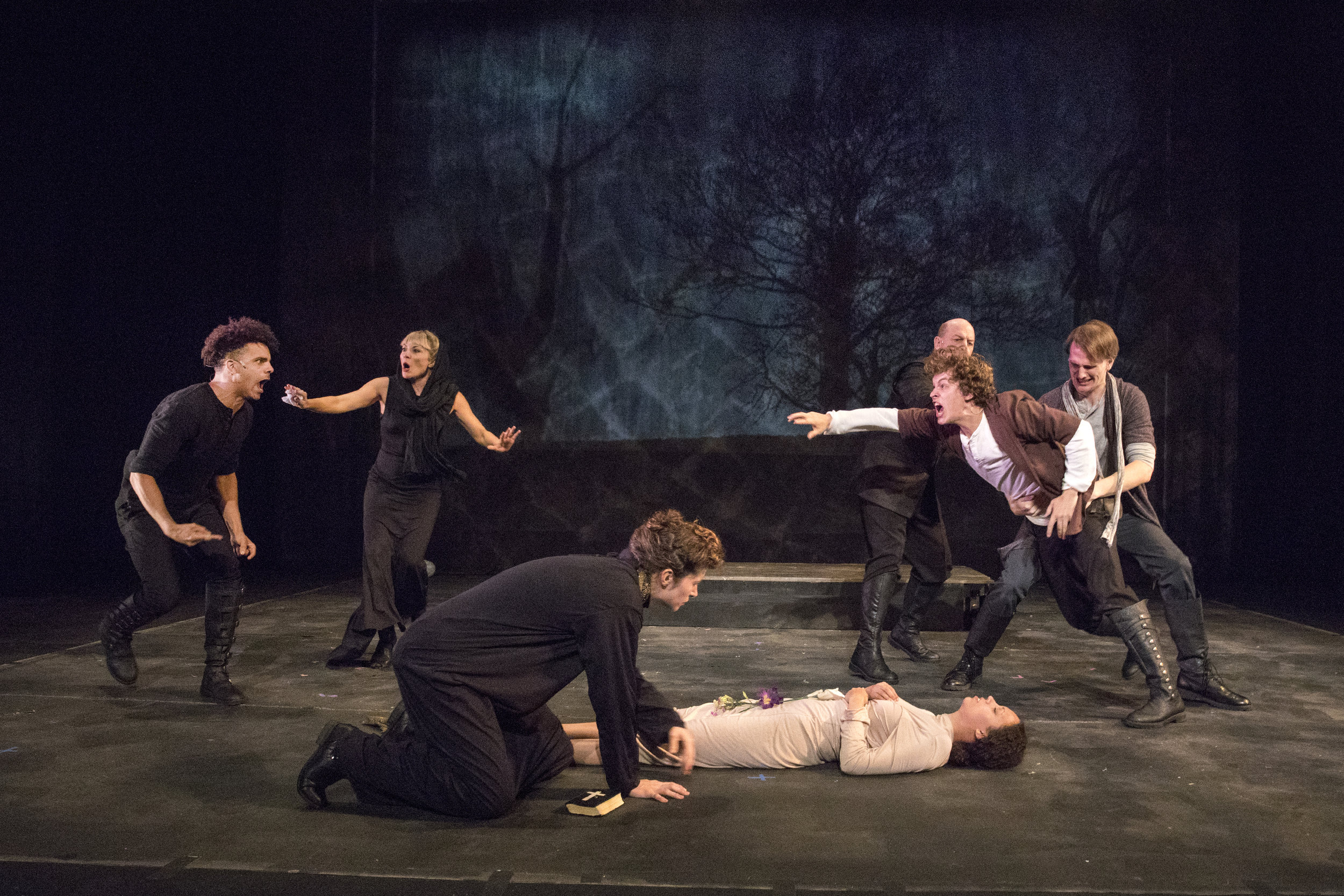 HAMLET. Photo by Richard Termine.