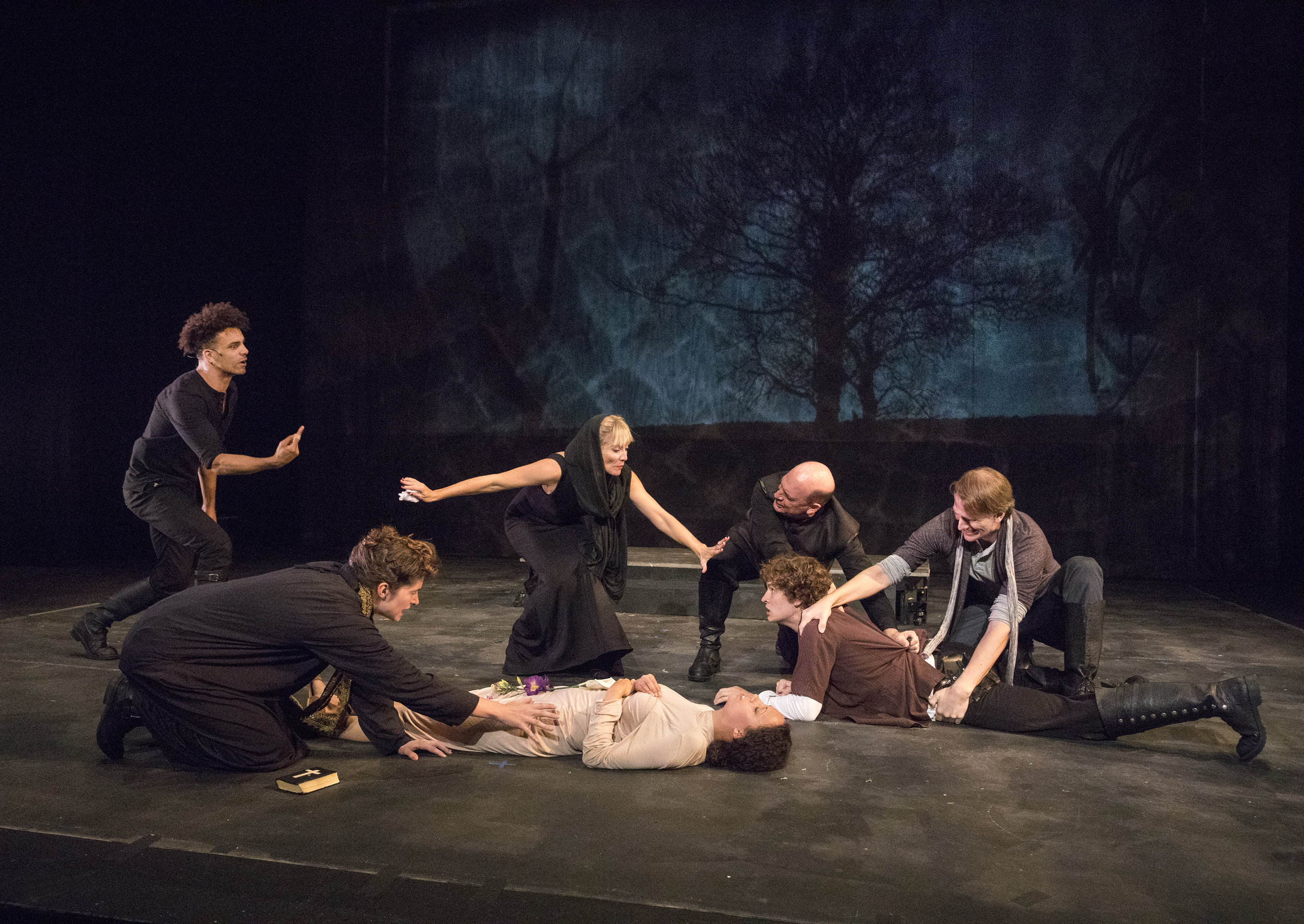 HAMLET. Photo by Richard Termine