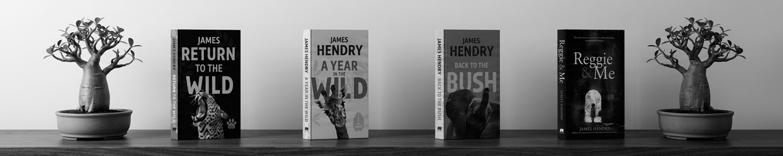 Modern Book Covers on Shelf.png