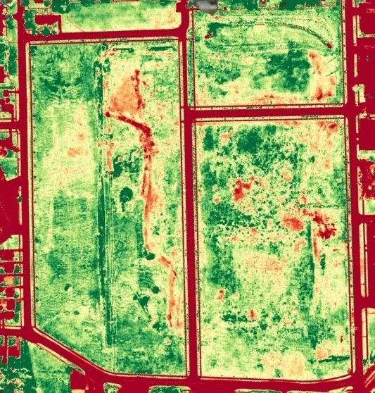 Using drone data we can identify potential areas of vegetation health deficiencies.