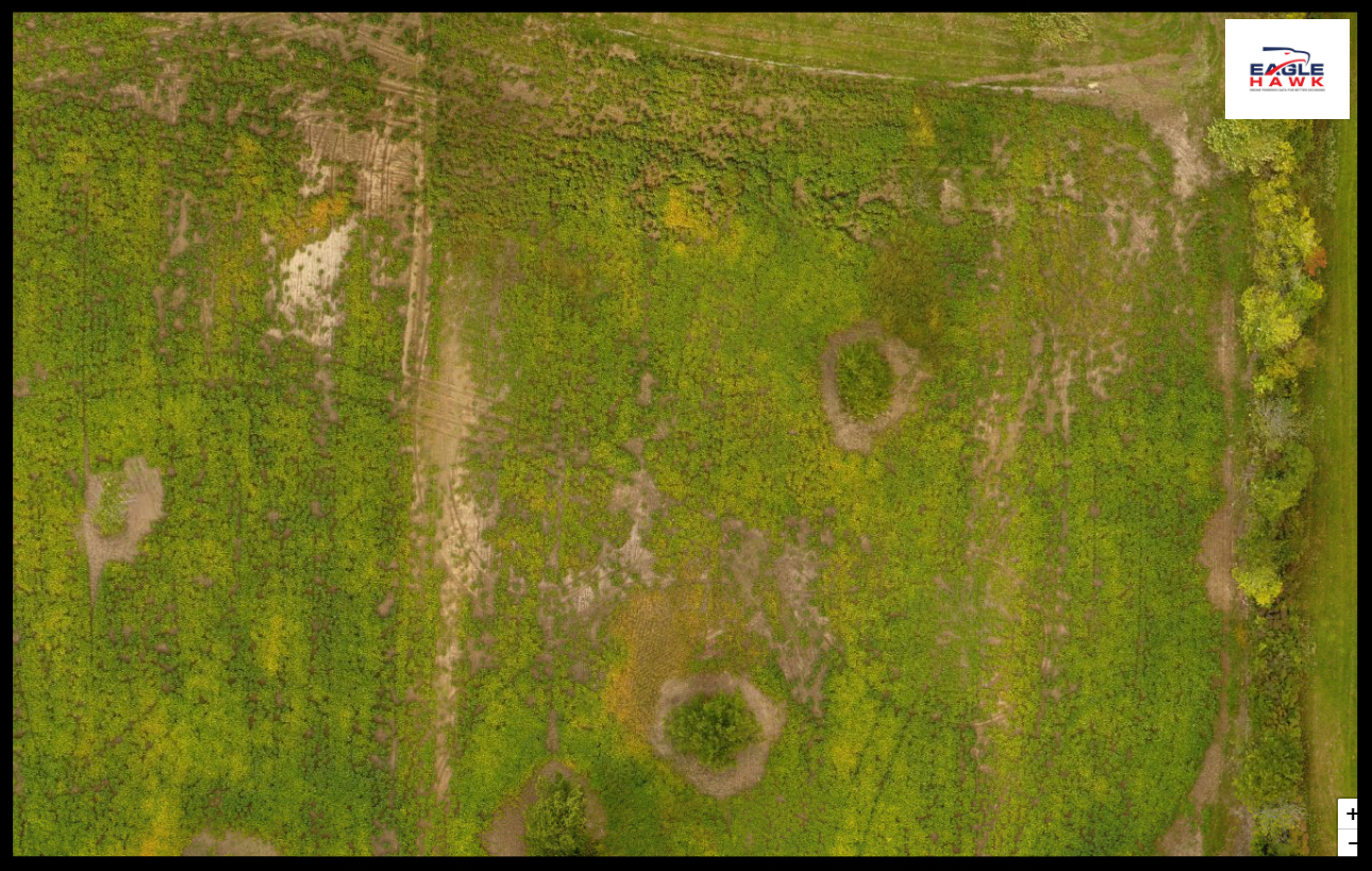2D Orthomosaic - Soy Farm