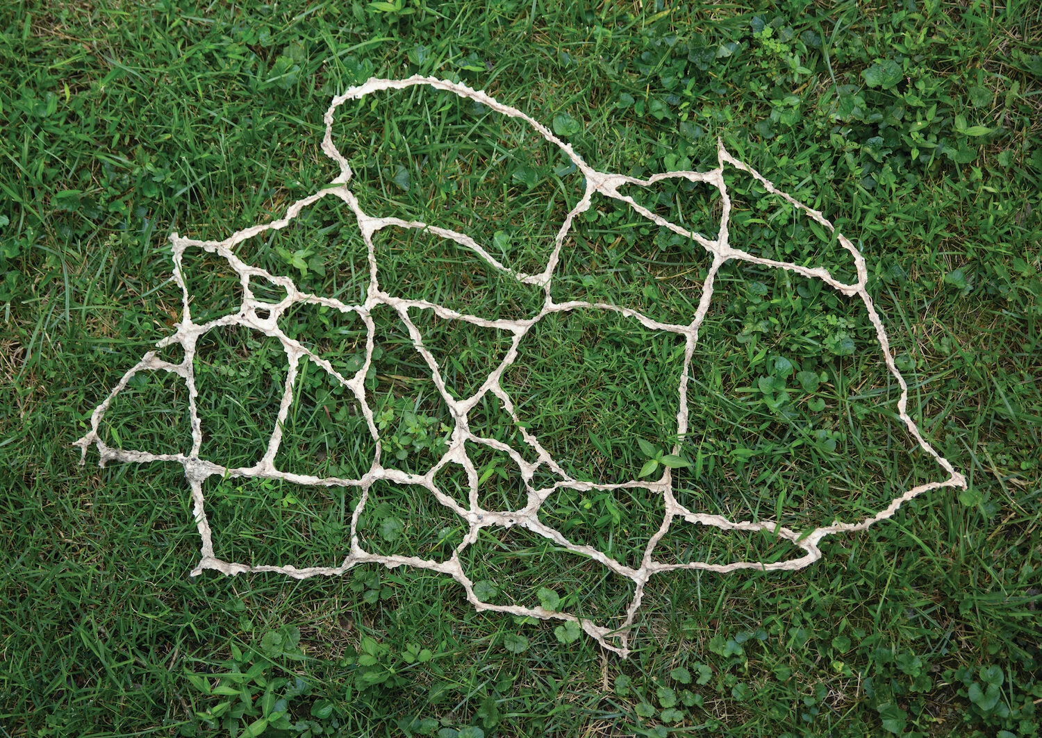 FussnerE_untitled(map).jpg