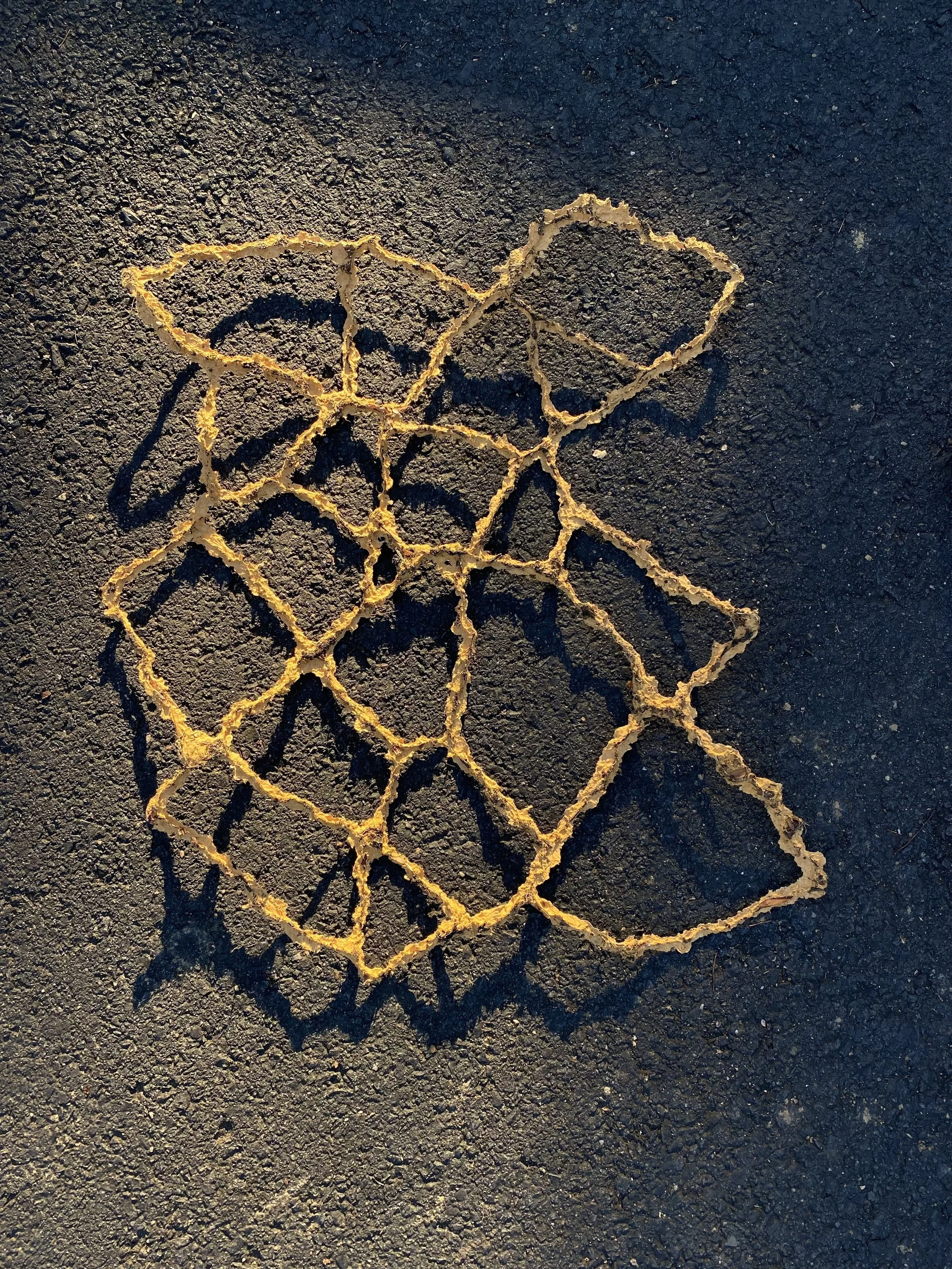 FussnerE_Resilient_asphalt.jpeg
