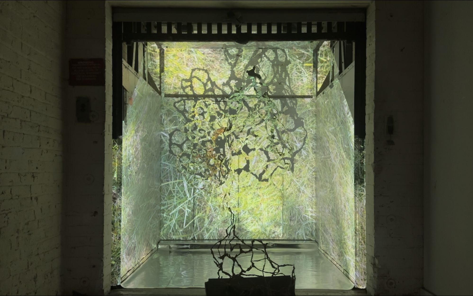 Ephemeral Echoes