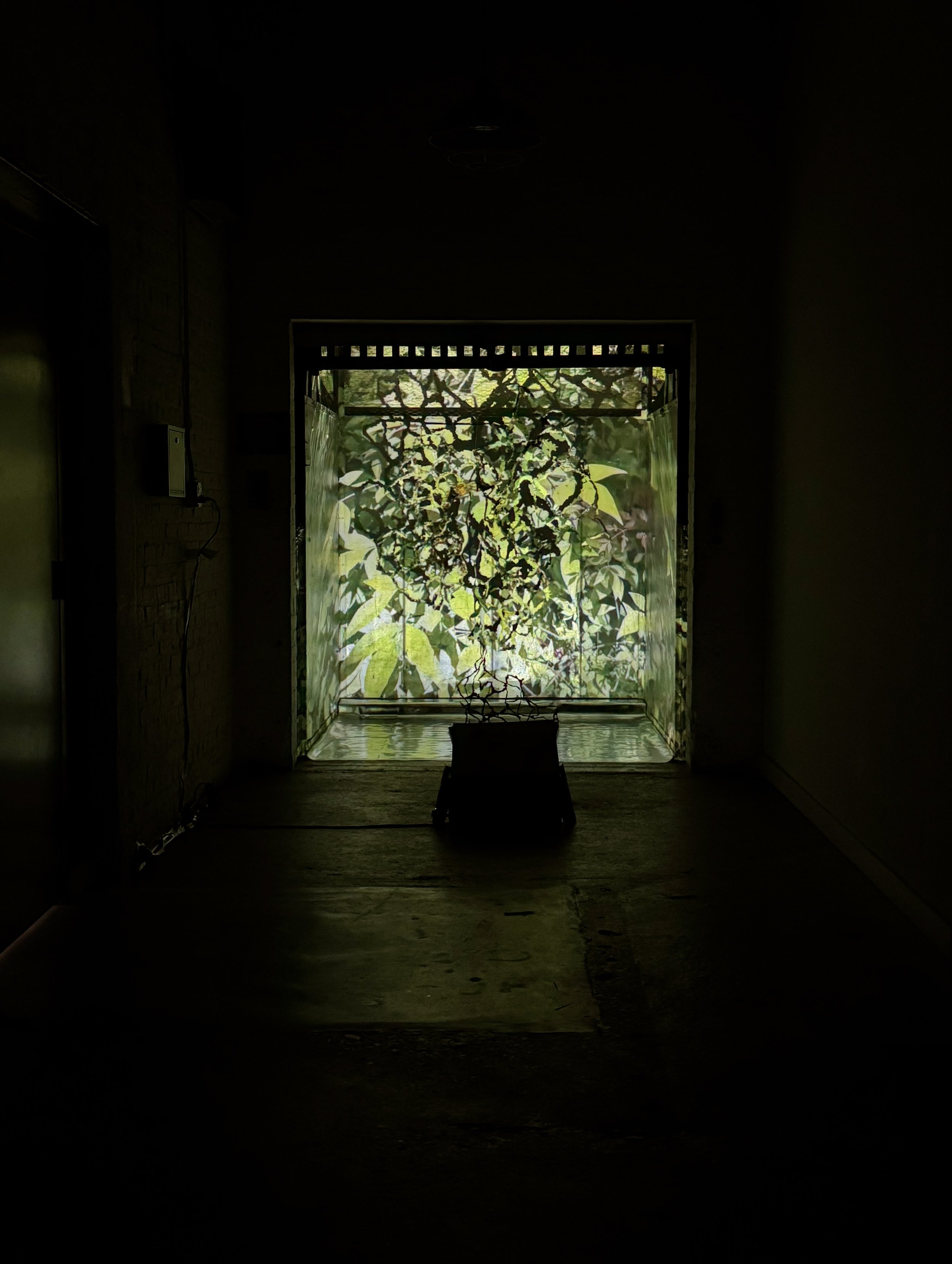 Ephemeral Echoes_Emily Fussner_2-1hallway.jpeg