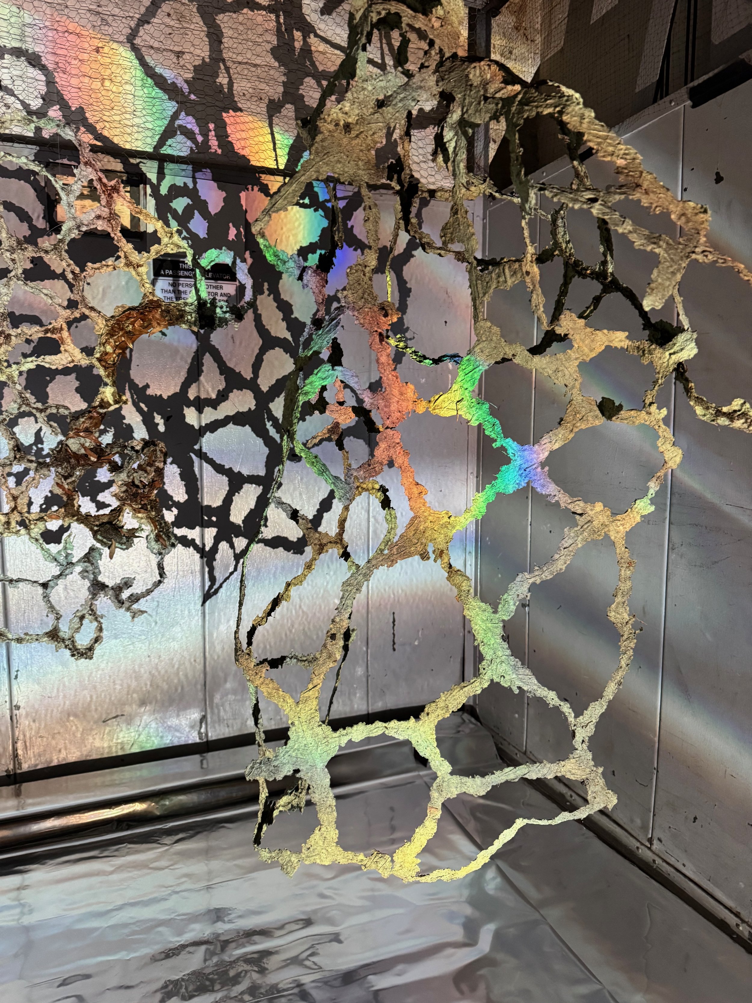 Ephemeral Echoes_Emily Fussner_3-3_test-detail.jpeg