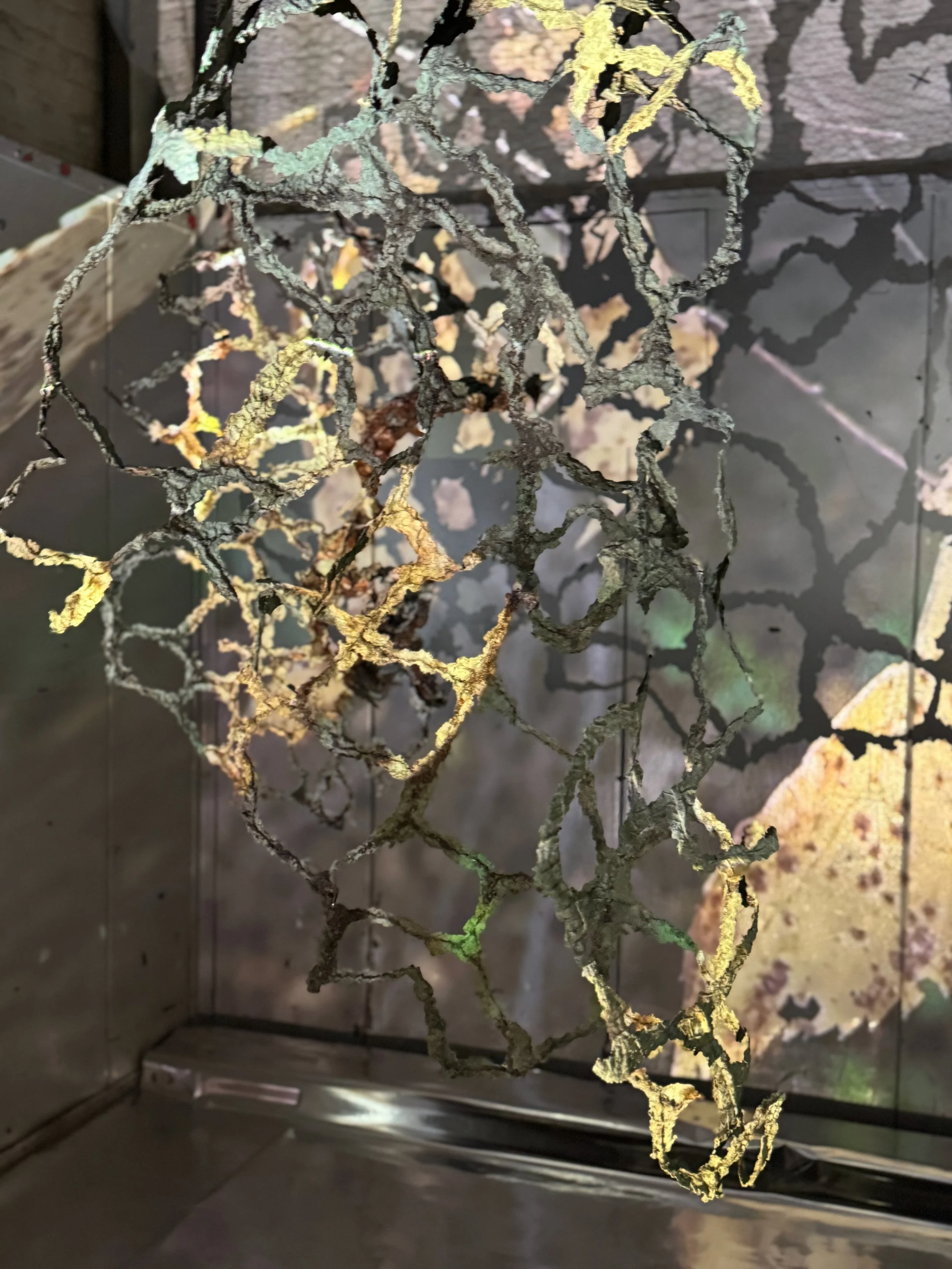 Ephemeral Echoes_Emily Fussner_14-2detail.jpeg