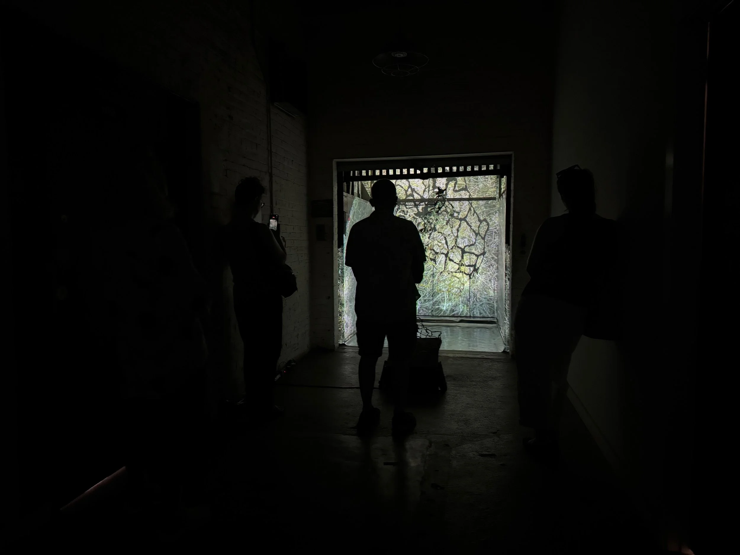 Ephemeral Echoes_Emily Fussner_25_p.jpeg
