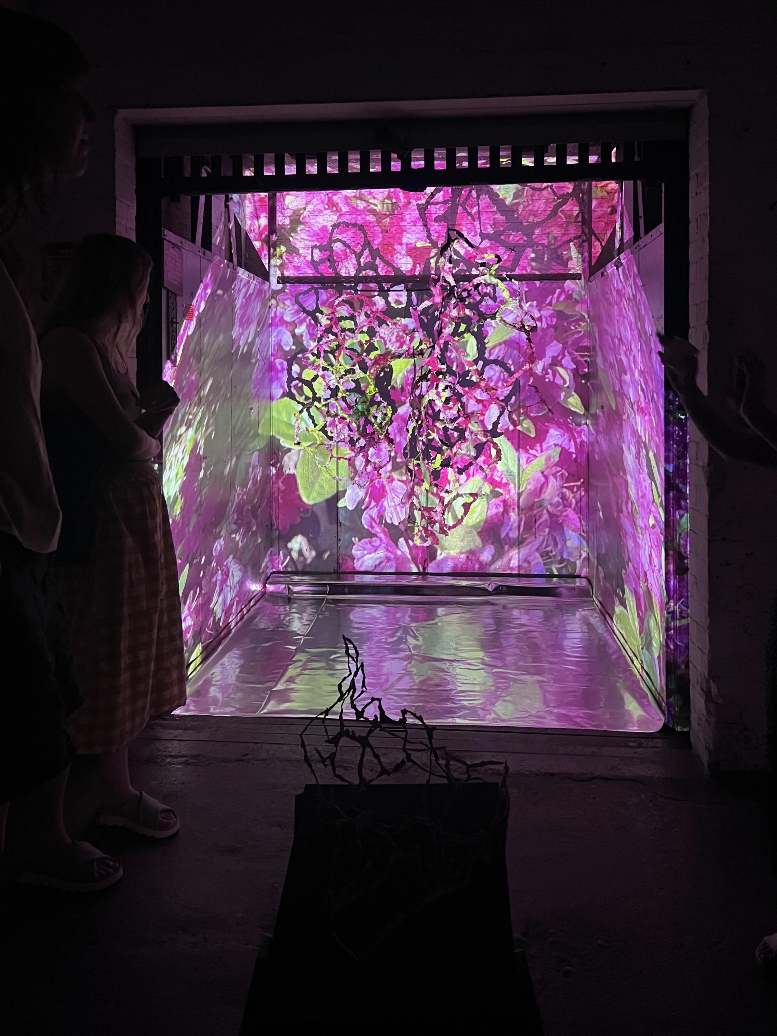 Ephemeral Echoes_Emily Fussner_1-3p.jpeg