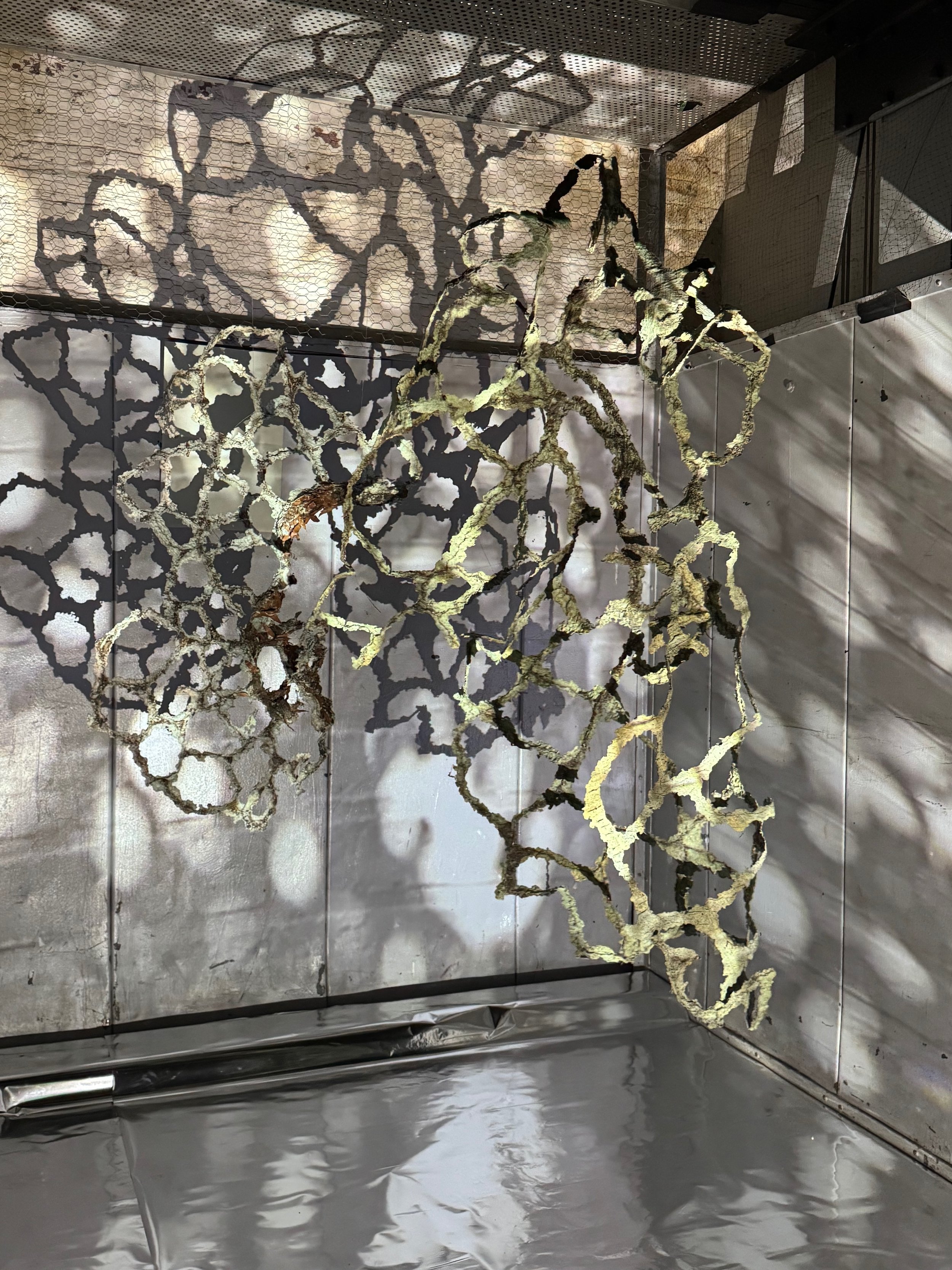 Ephemeral Echoes_Emily Fussner_15_detail.jpeg