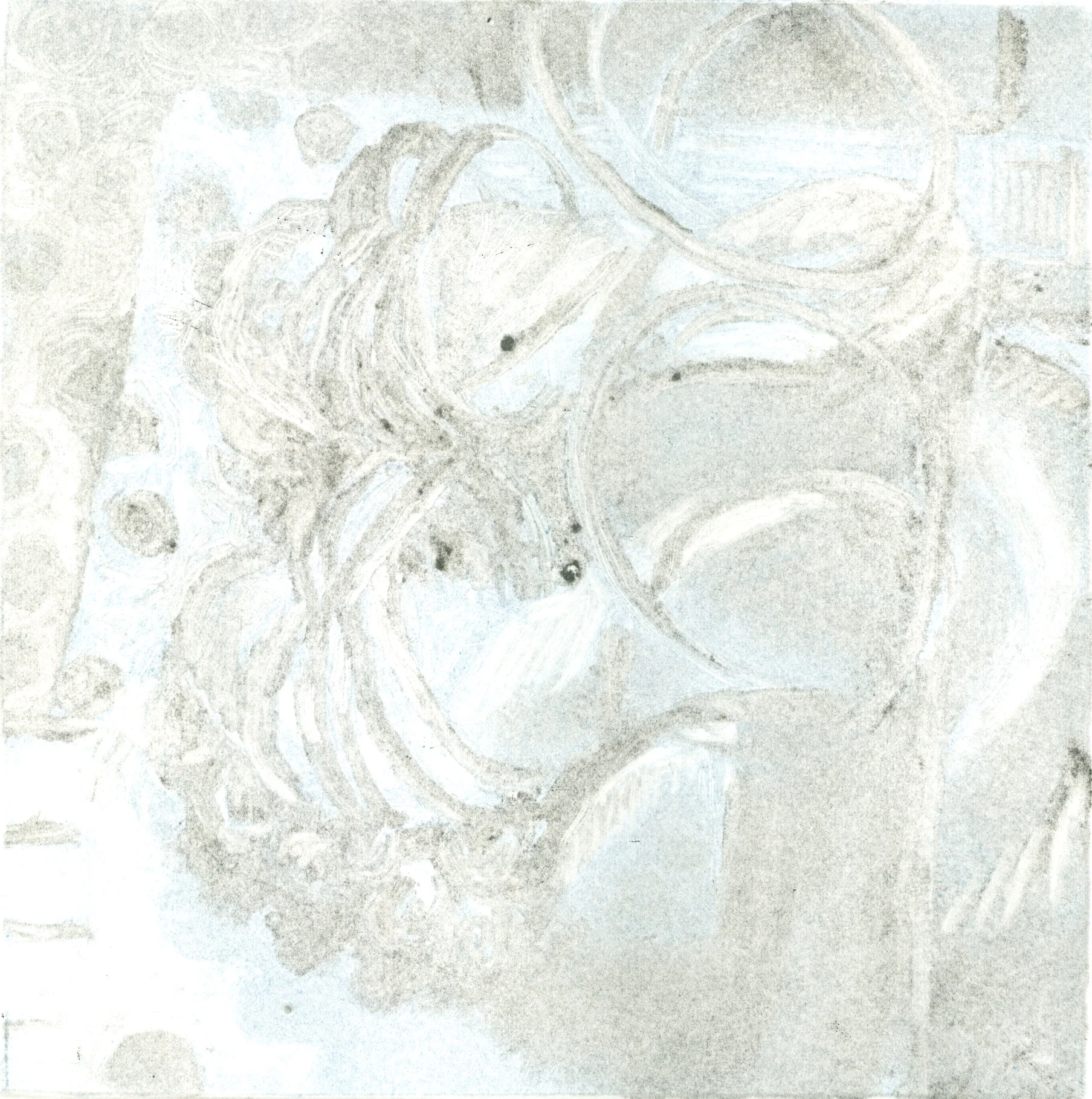 Finding, 6 x 6", monotype, 2017