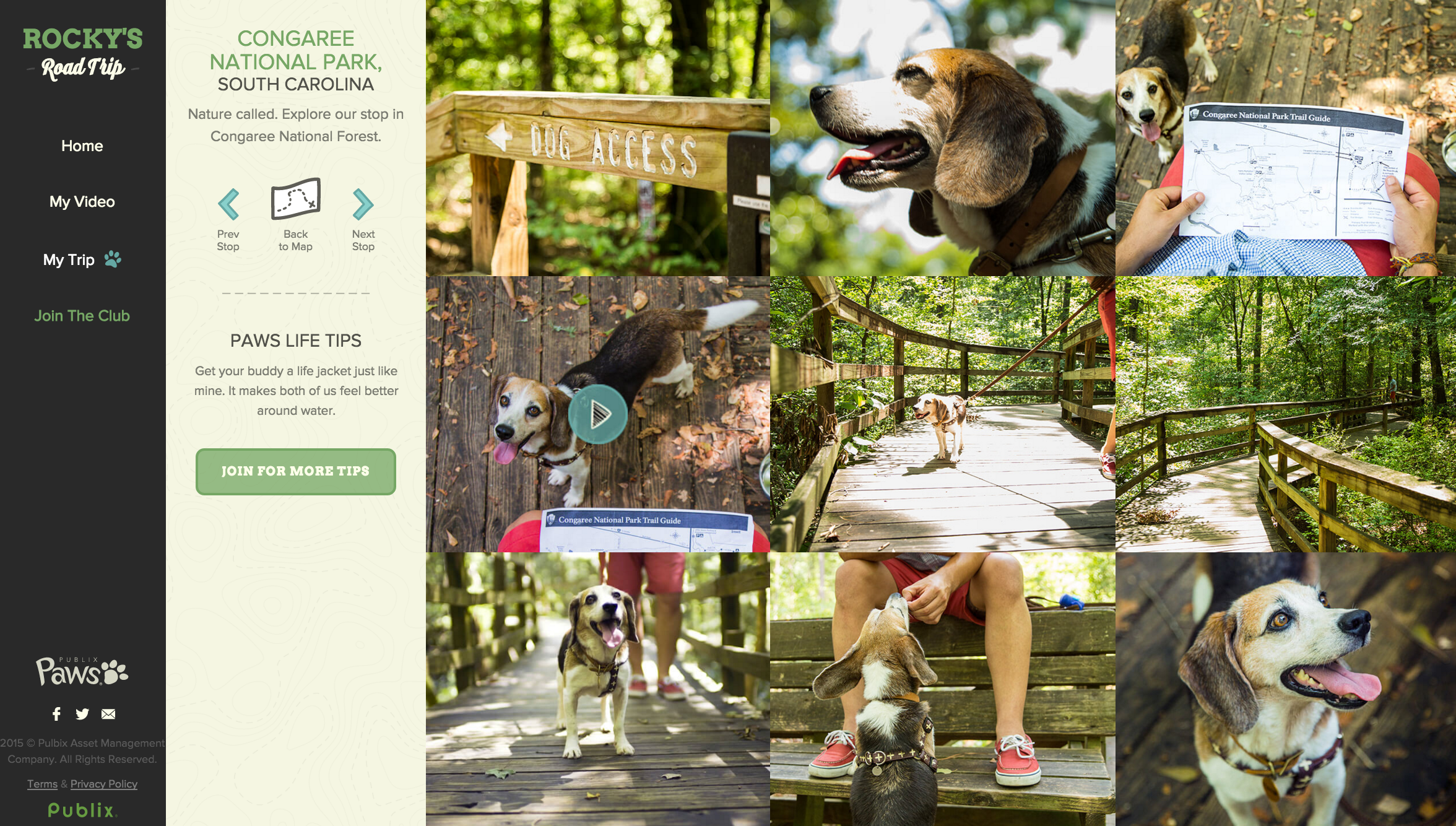 5_Rocky's Road Trip Congaree.png