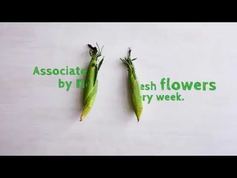 Biggest Publix Fan Support Video