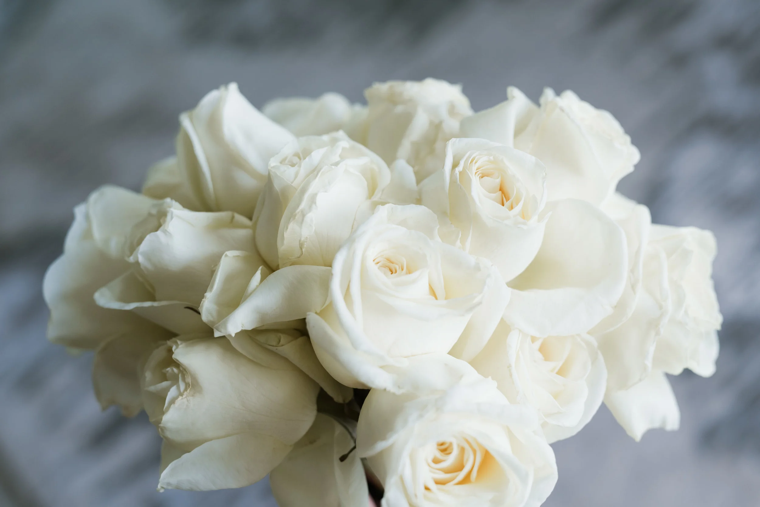Ali&CharlieWedding-34.jpg