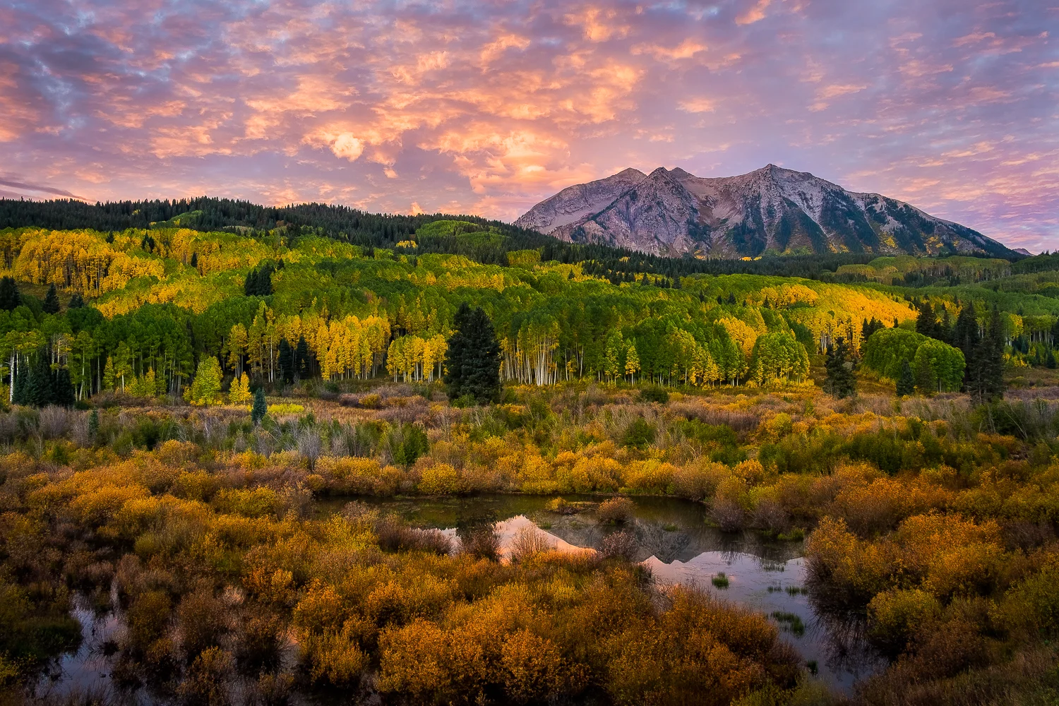 BeckwithCrestedButte