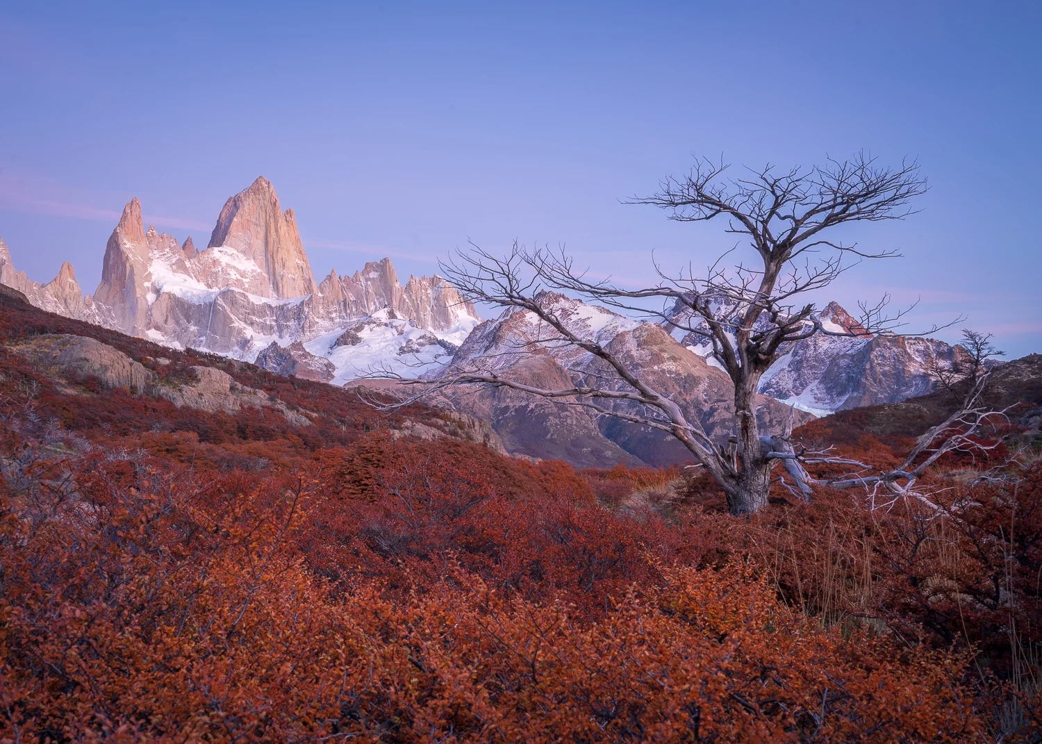 _DSC2491-HDRforblog.jpg