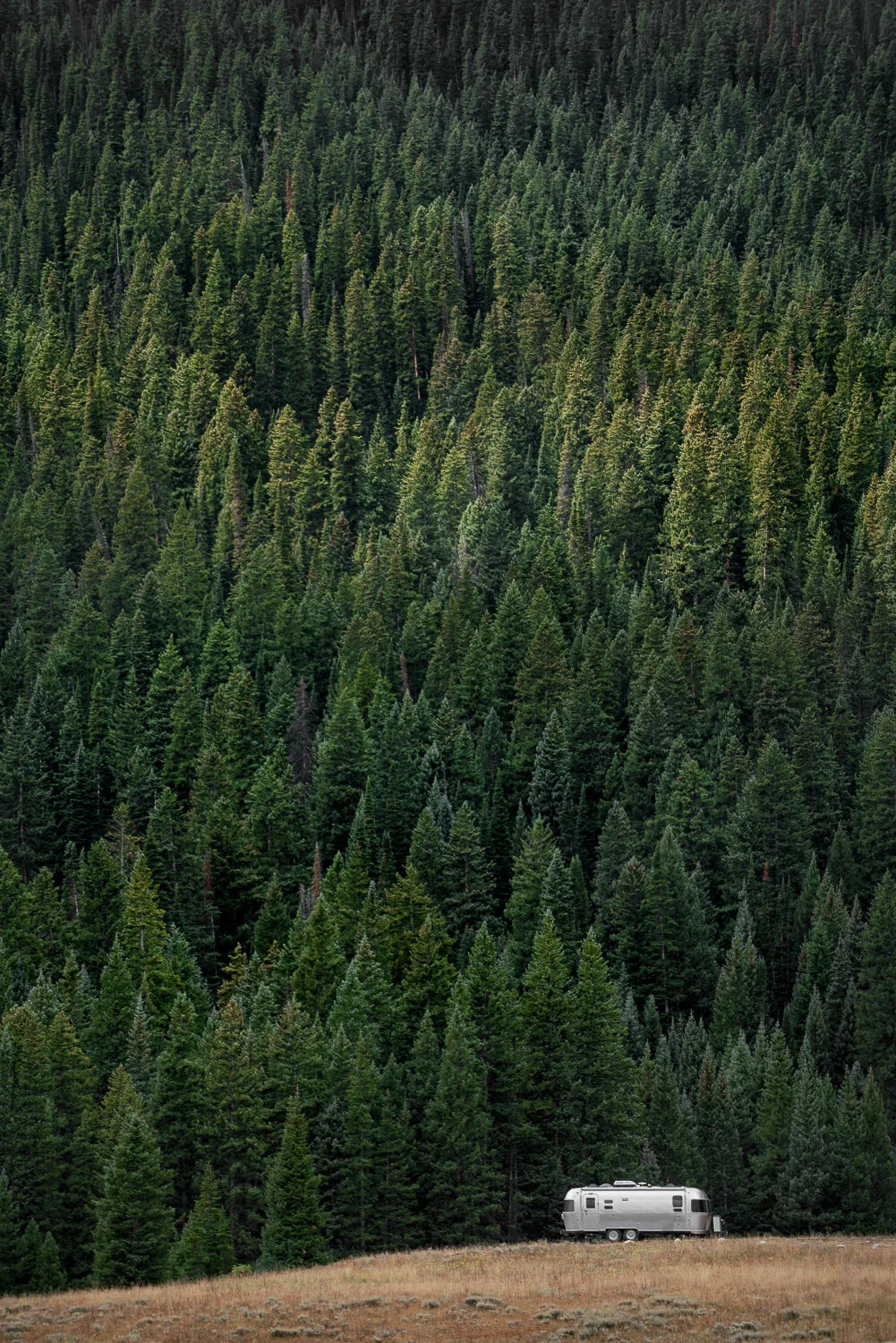 _DSC3922forblog.jpg
