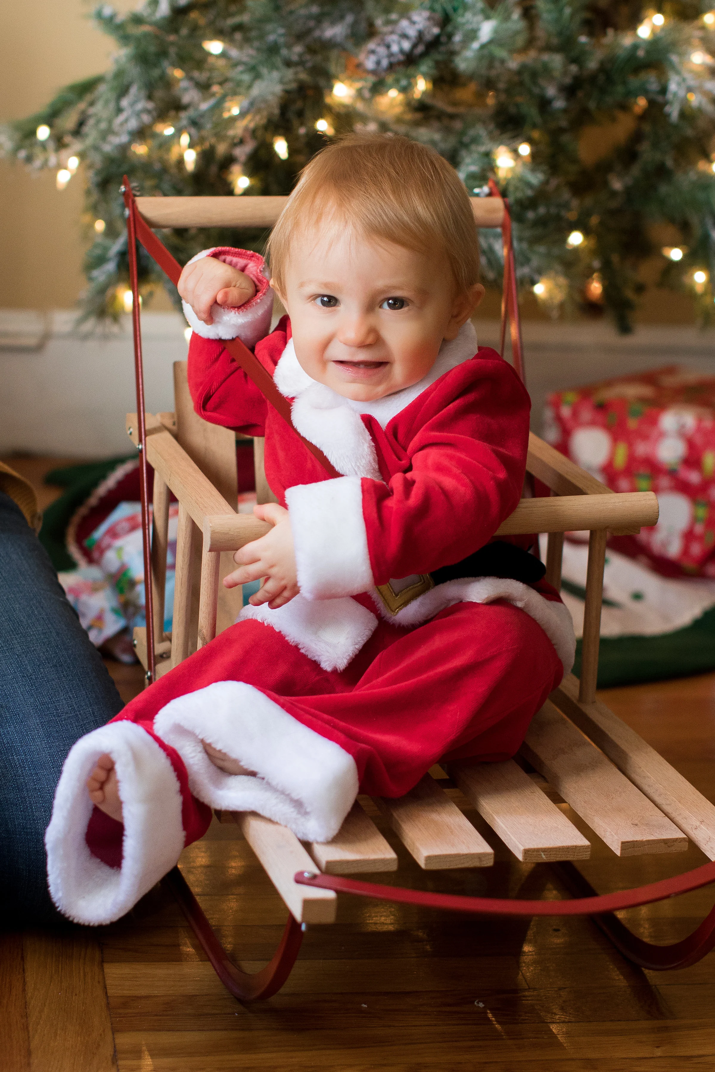 Sebby-6711.jpg